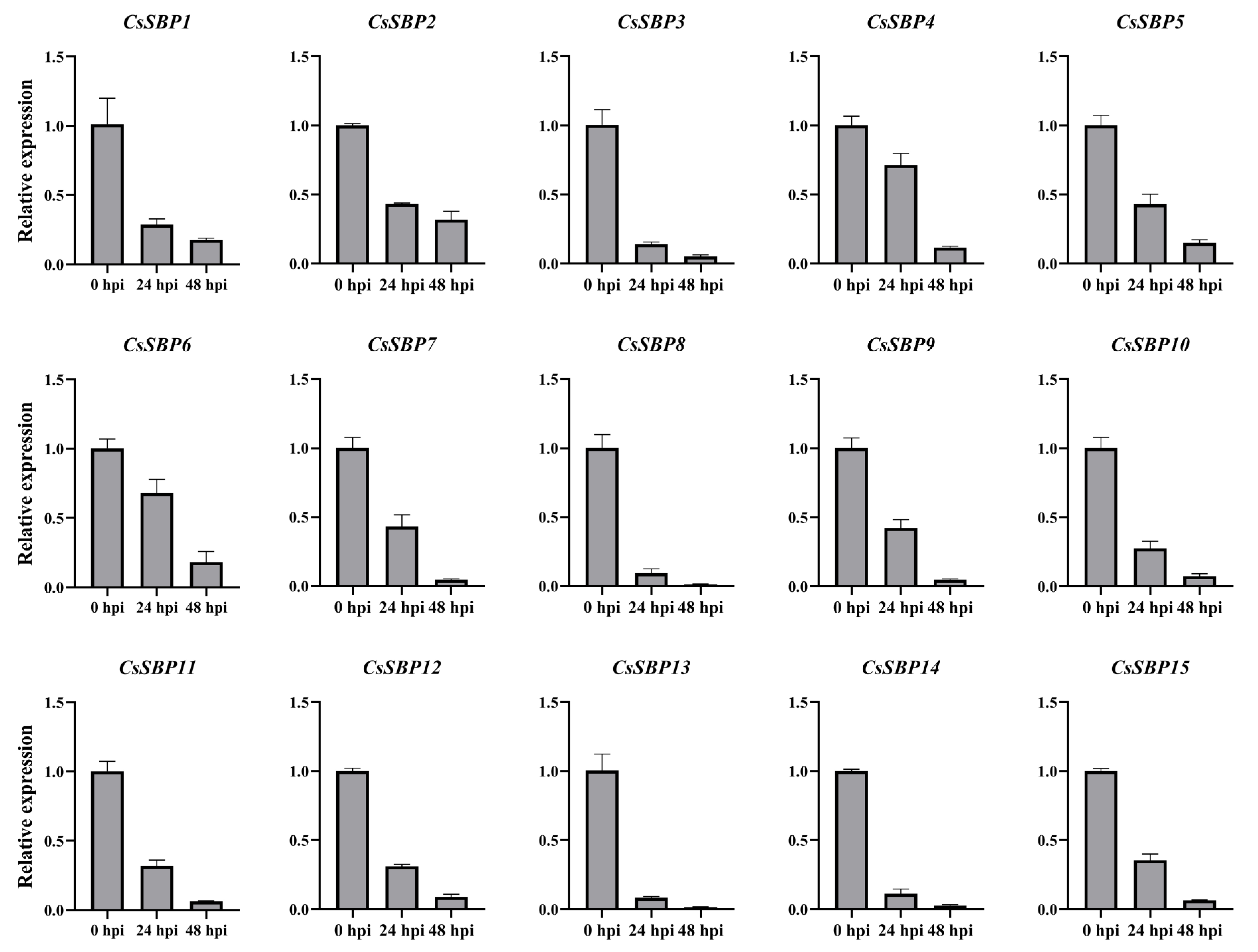 Ijms 22 08918 g009 550