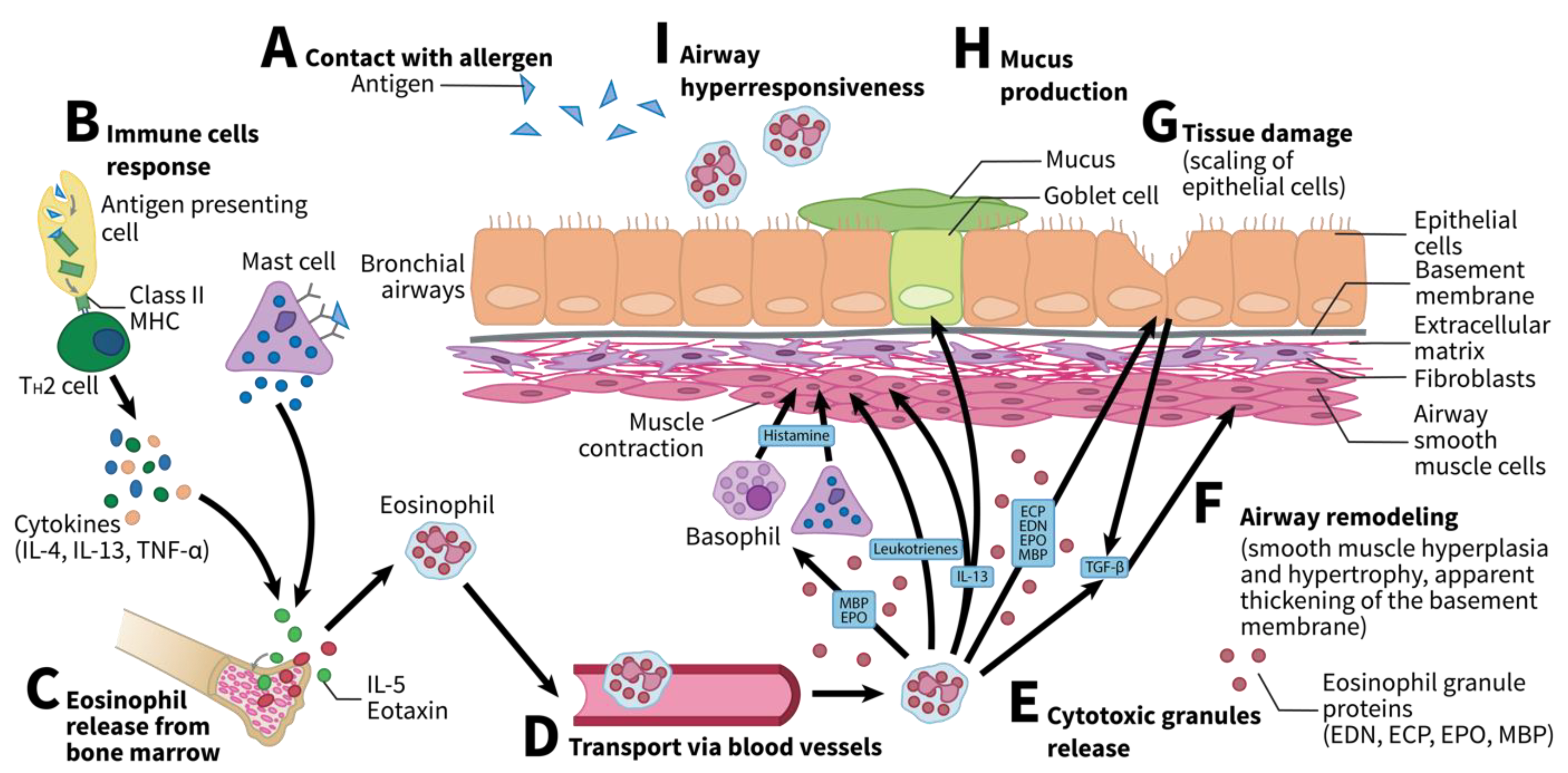 Ijms 22 08921 g001 550