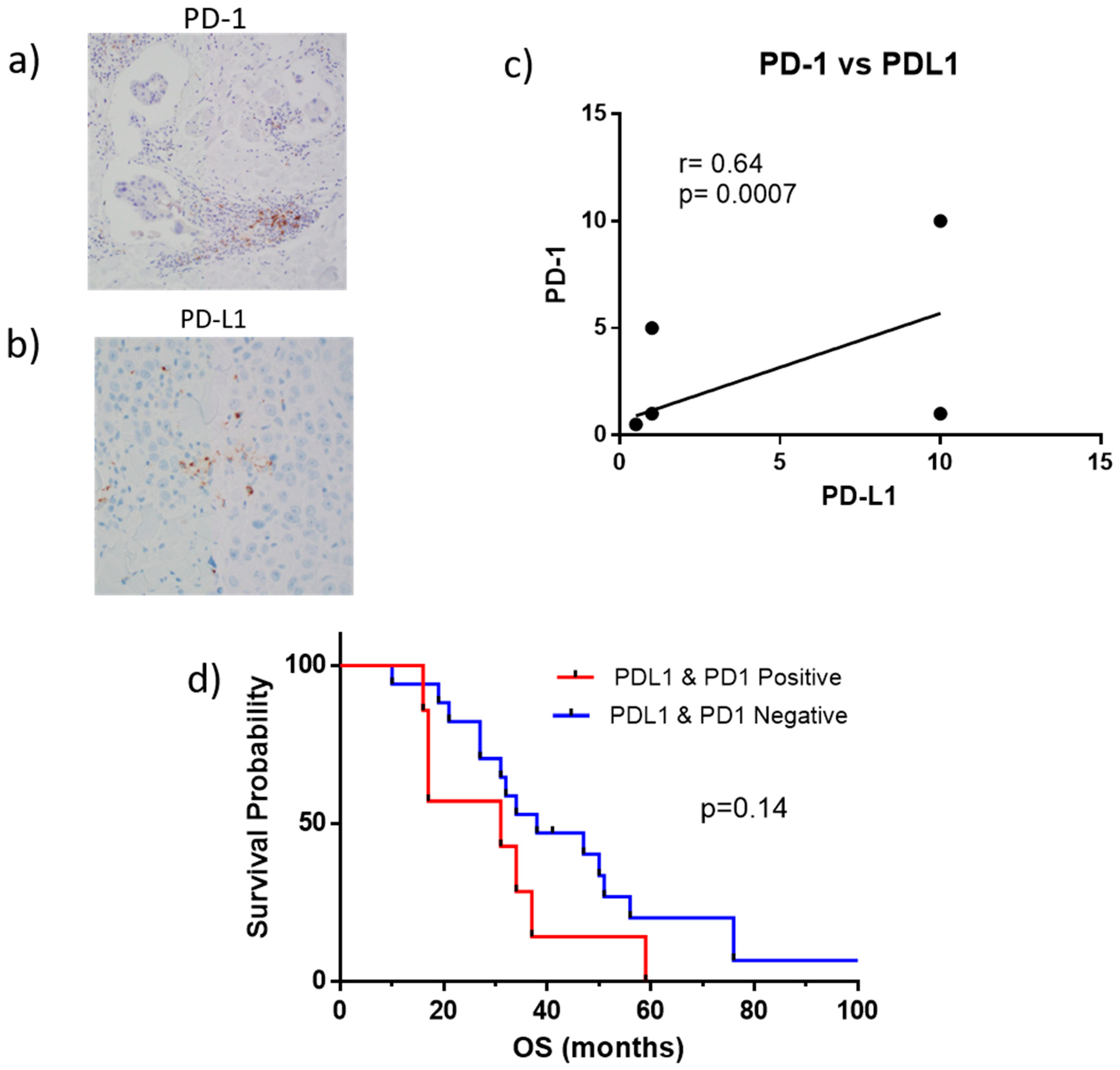 Ijms 22 08924 g004 Ijms 22 08924 g004