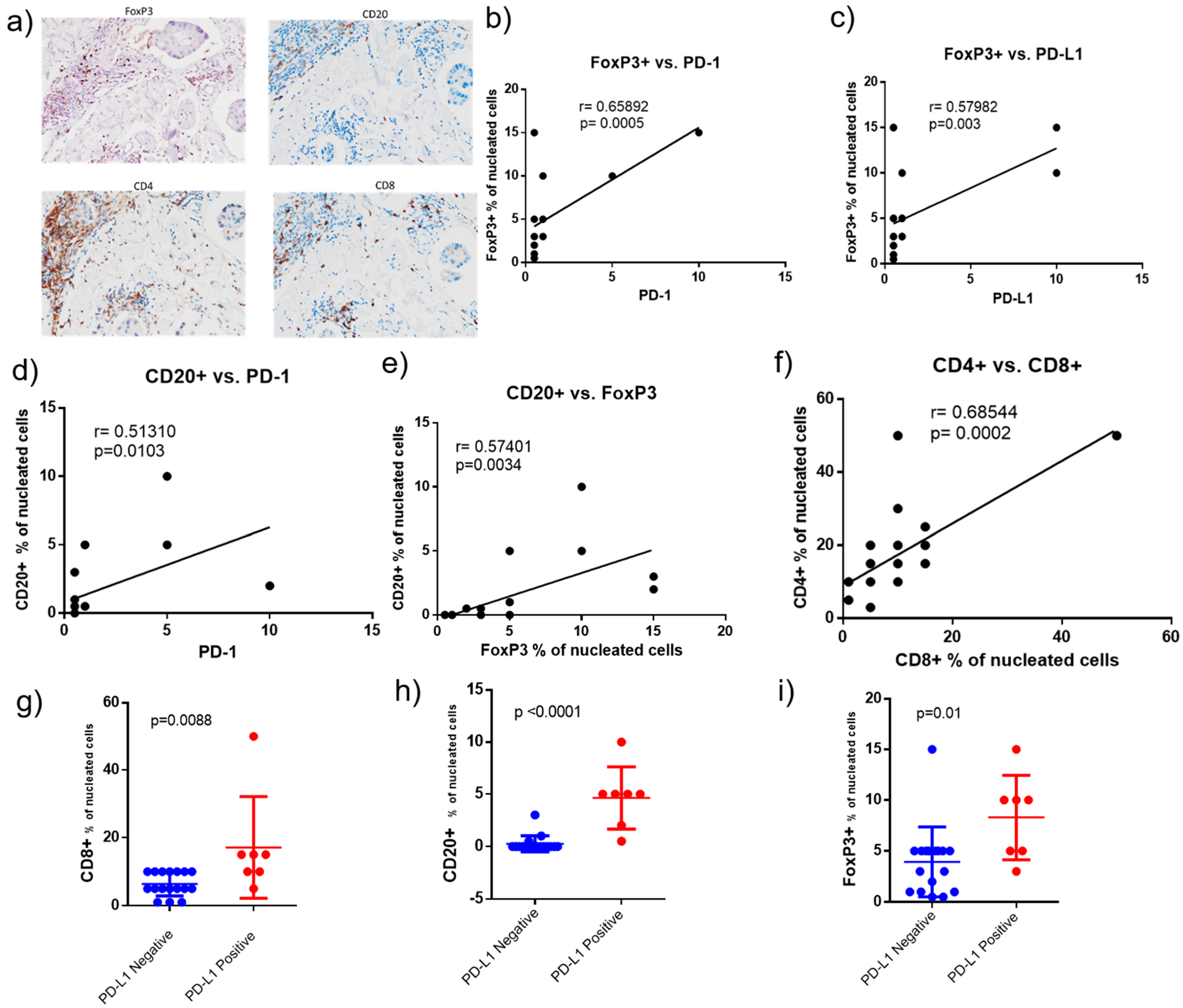 Ijms 22 08924 g005 Ijms 22 08924 g005