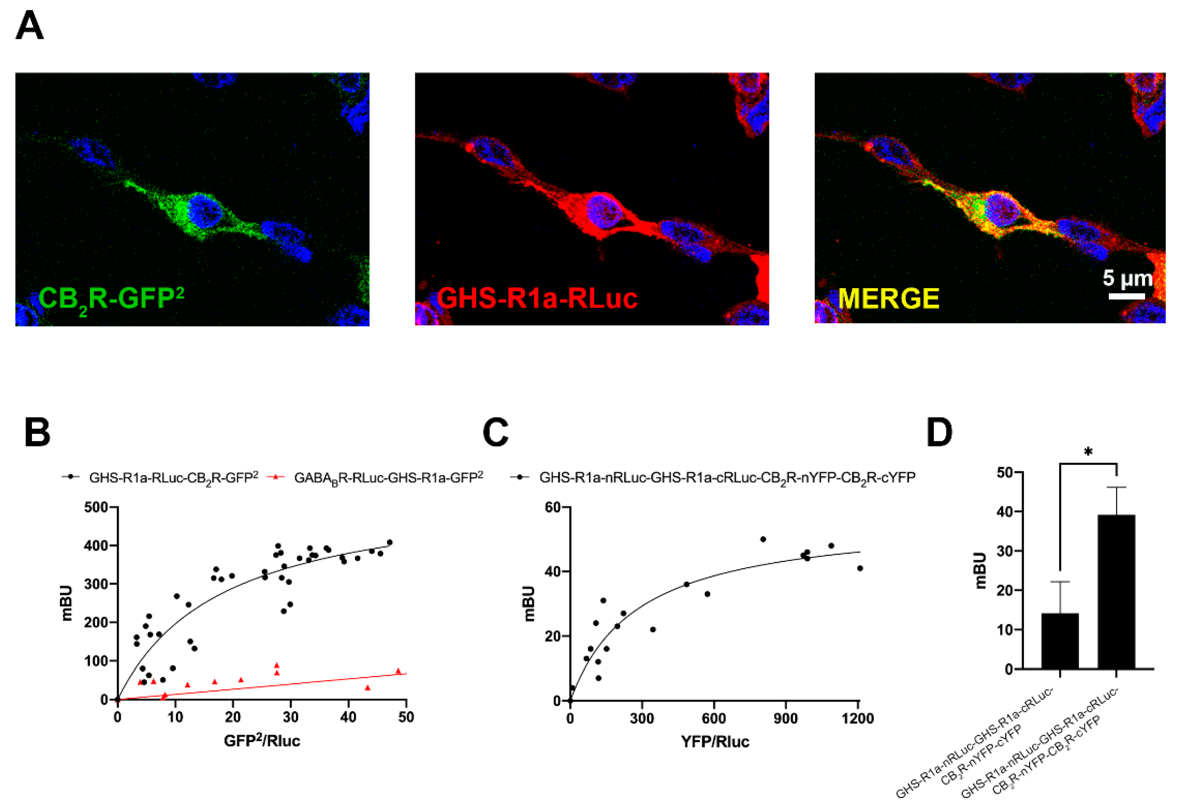 Ijms 22 08928 g001 550