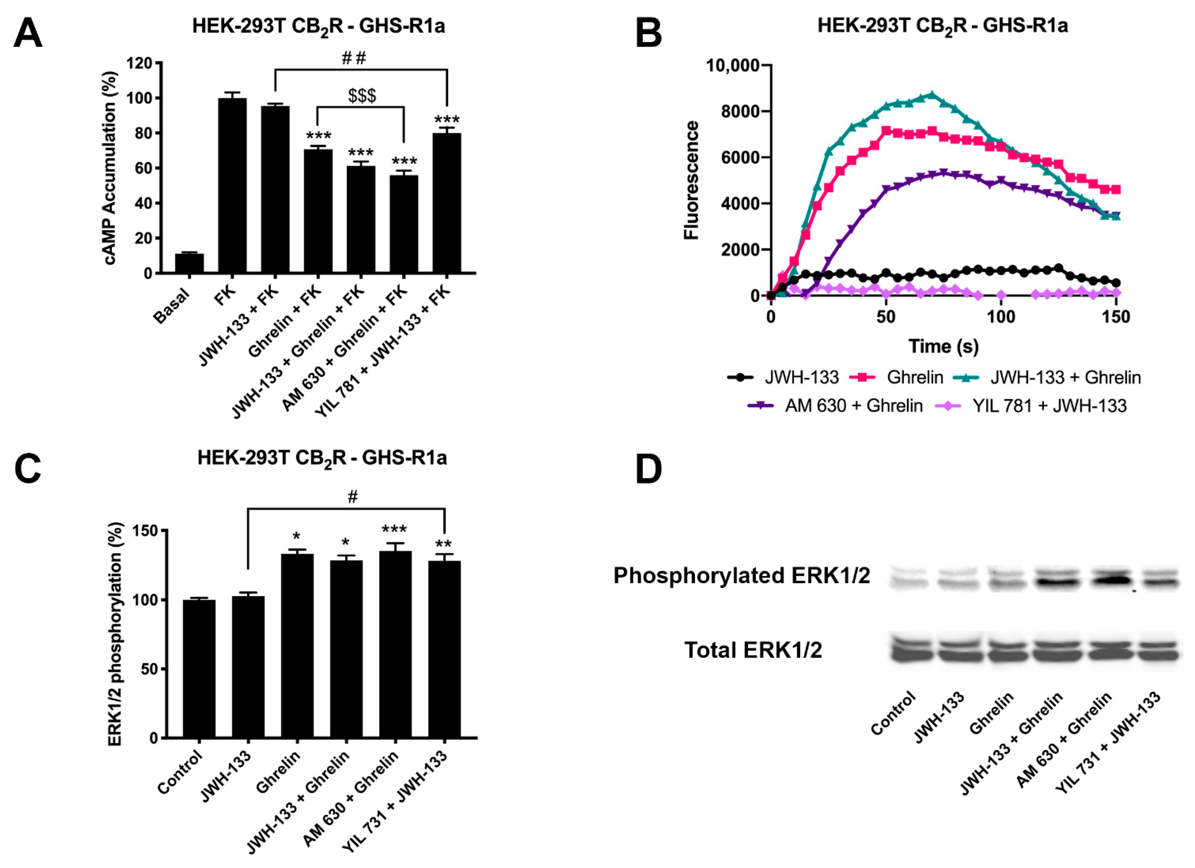 Ijms 22 08928 g003 550