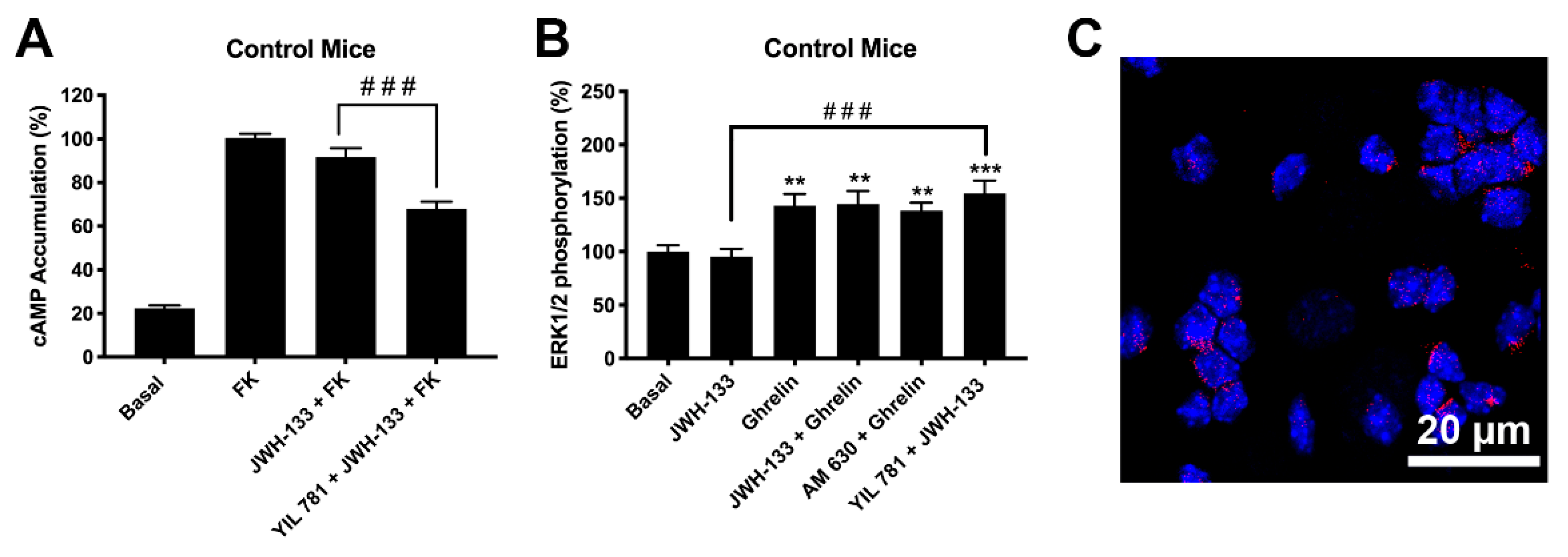Ijms 22 08928 g004 550