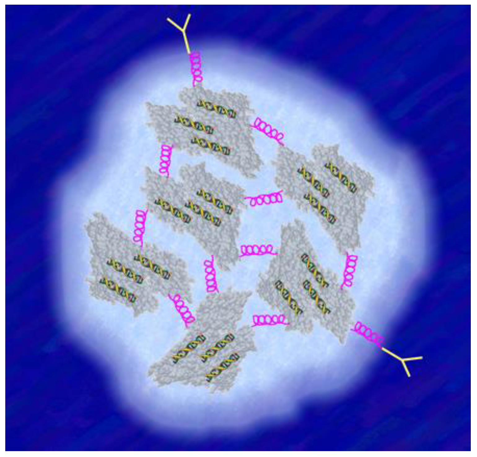 Ijms 22 08932 g001 550