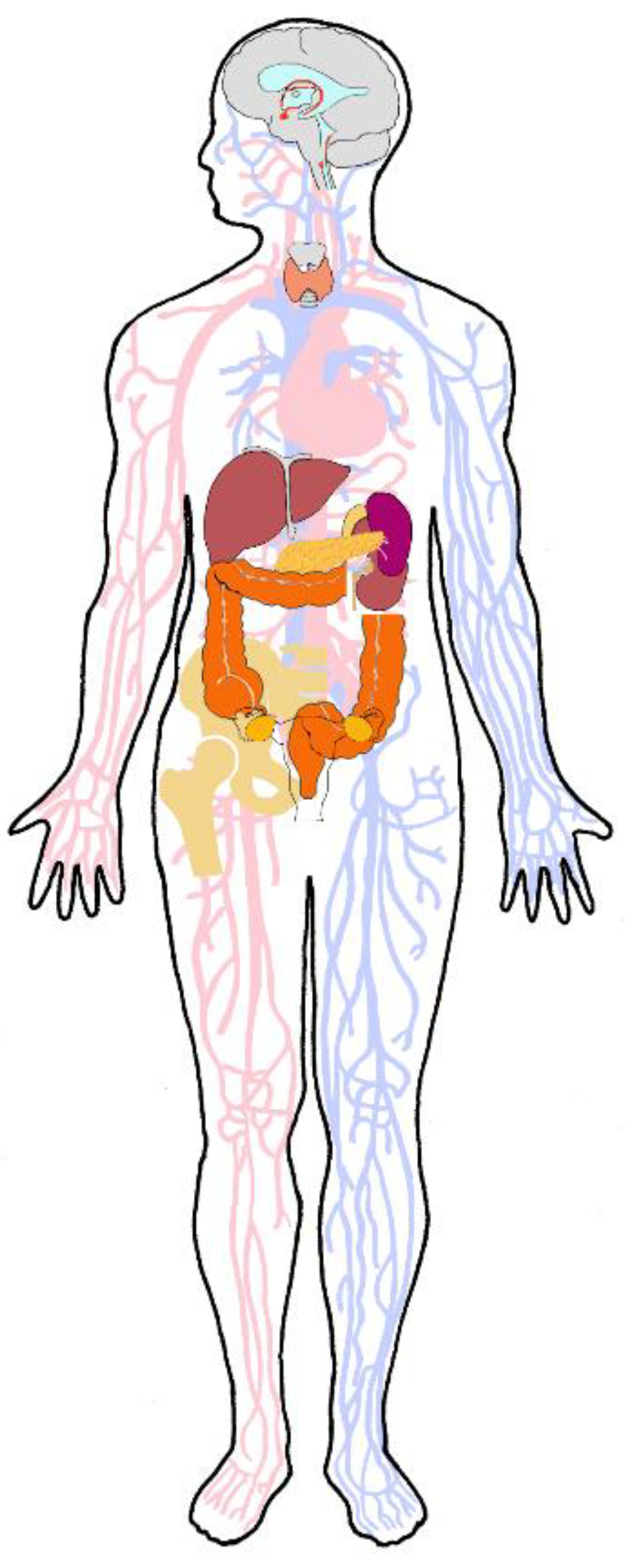 Ijms 22 08932 g002 550