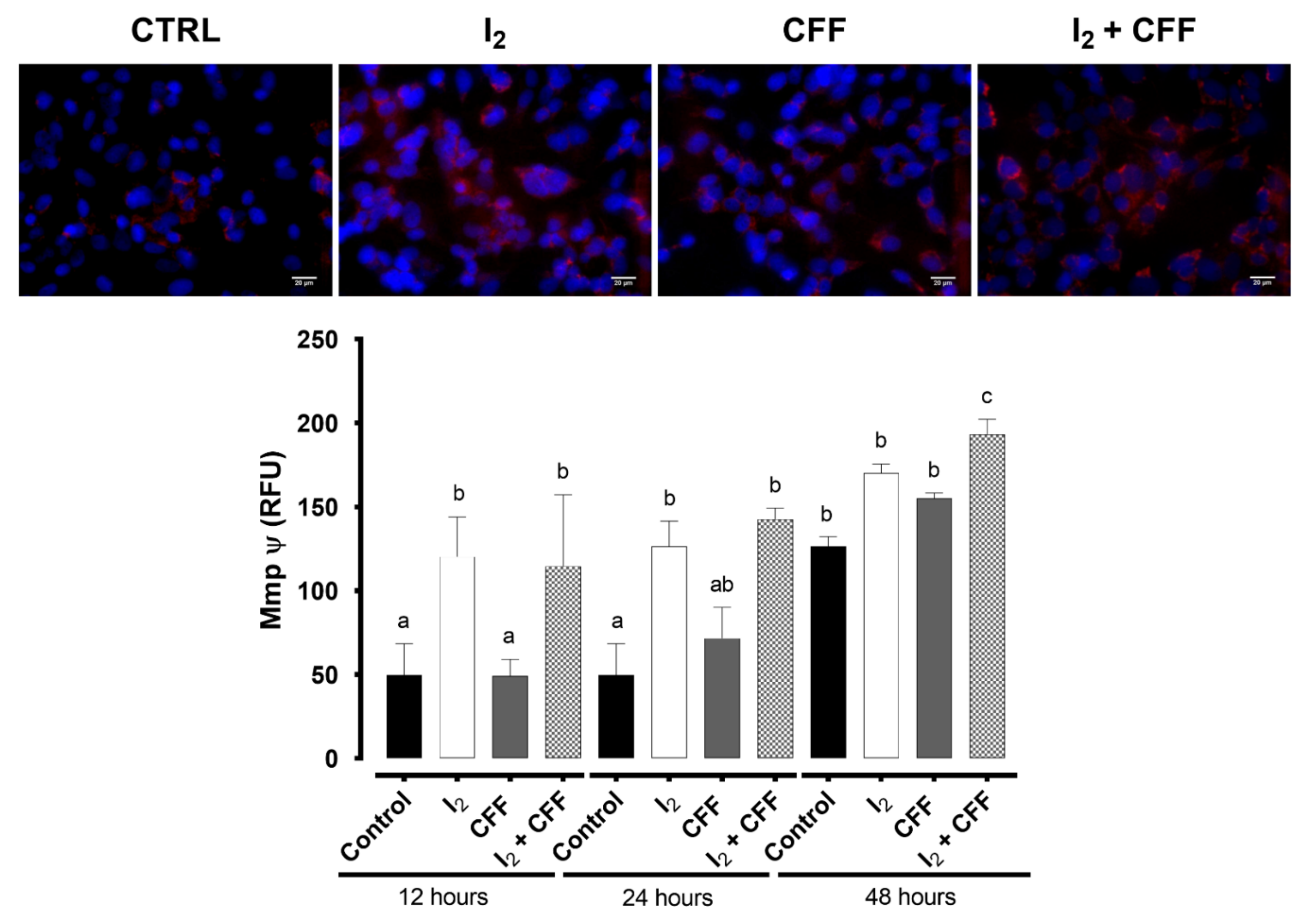 Ijms 22 08936 g003 Ijms 22 08936 g003