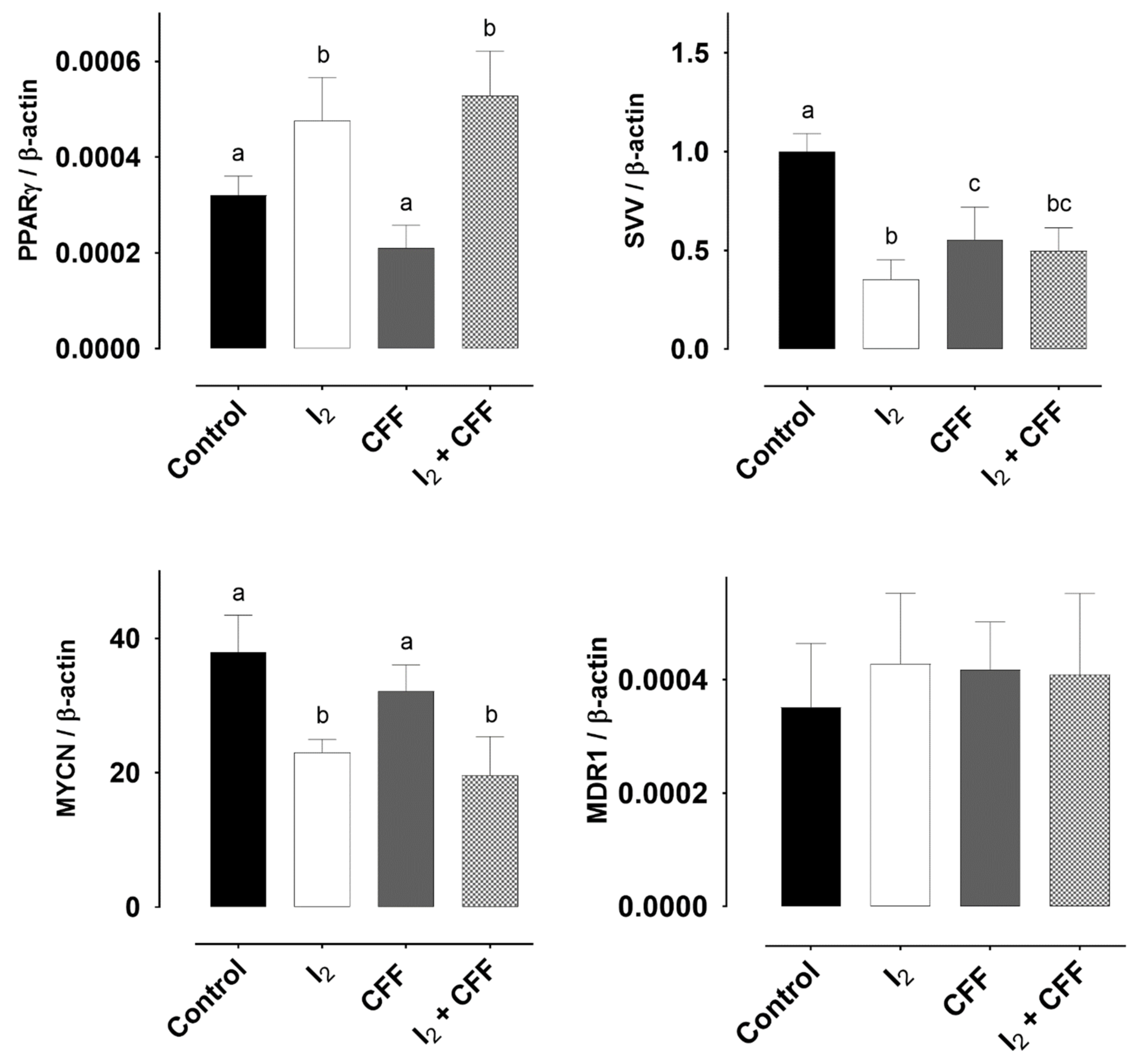 Ijms 22 08936 g004 Ijms 22 08936 g004