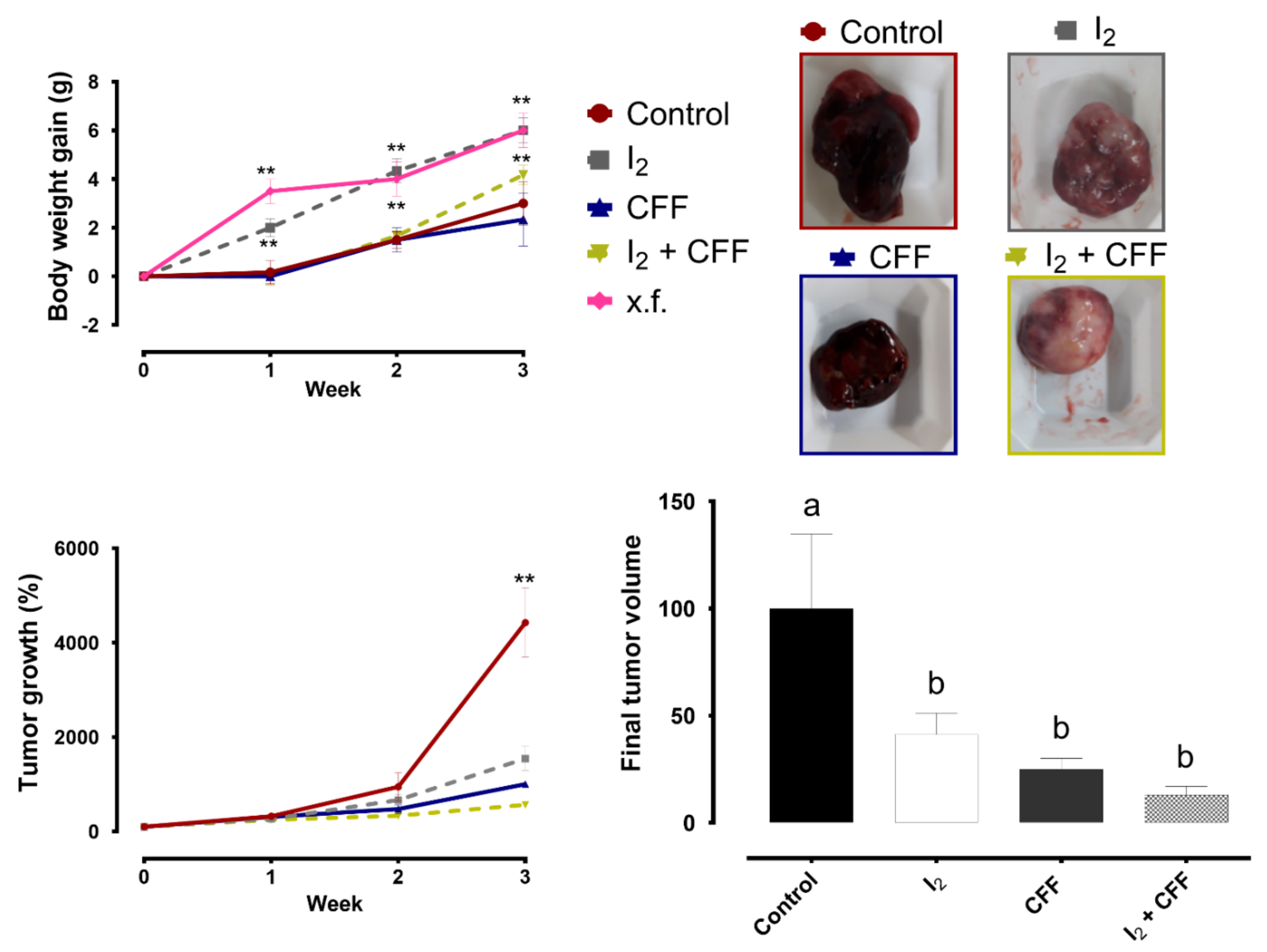 Ijms 22 08936 g005 Ijms 22 08936 g005