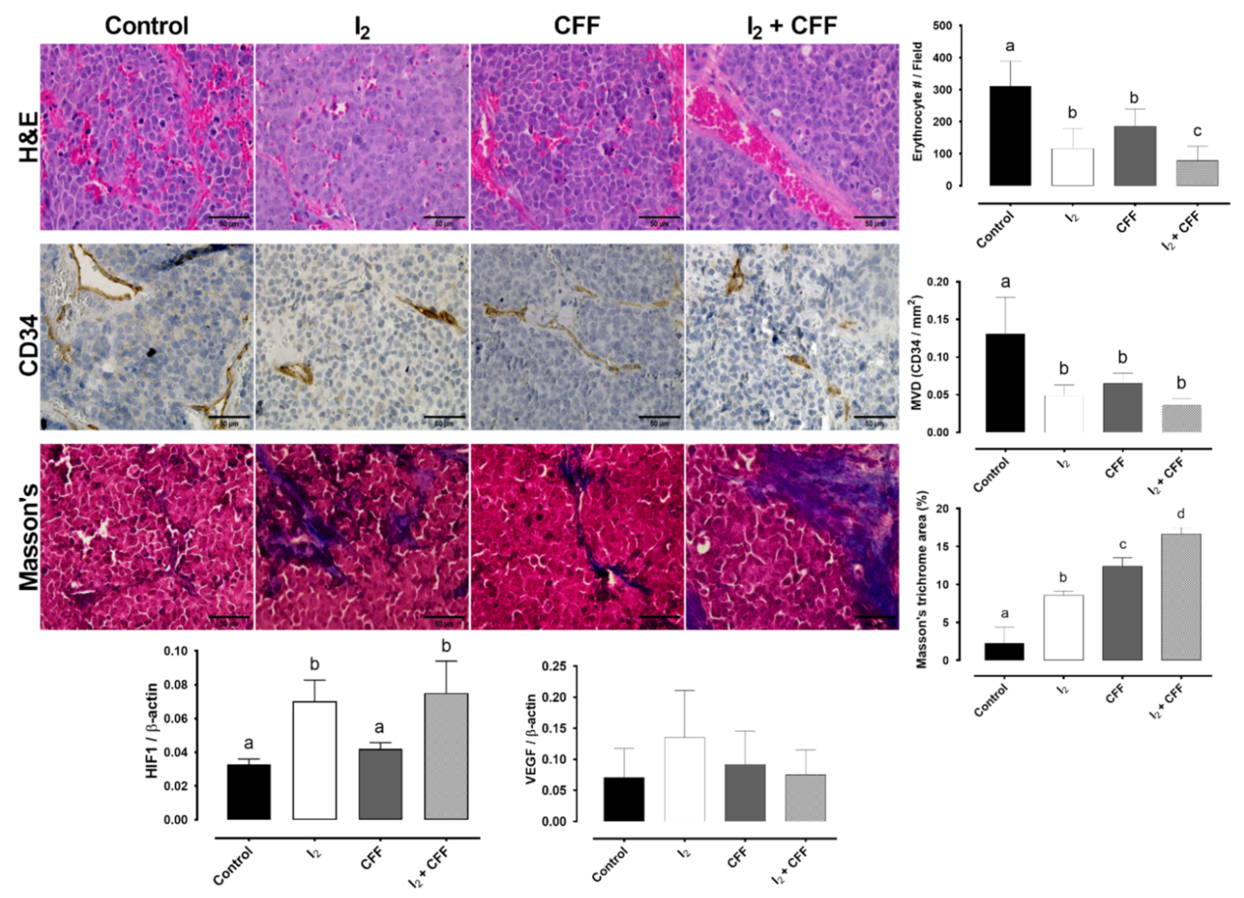 Ijms 22 08936 g006 Ijms 22 08936 g006