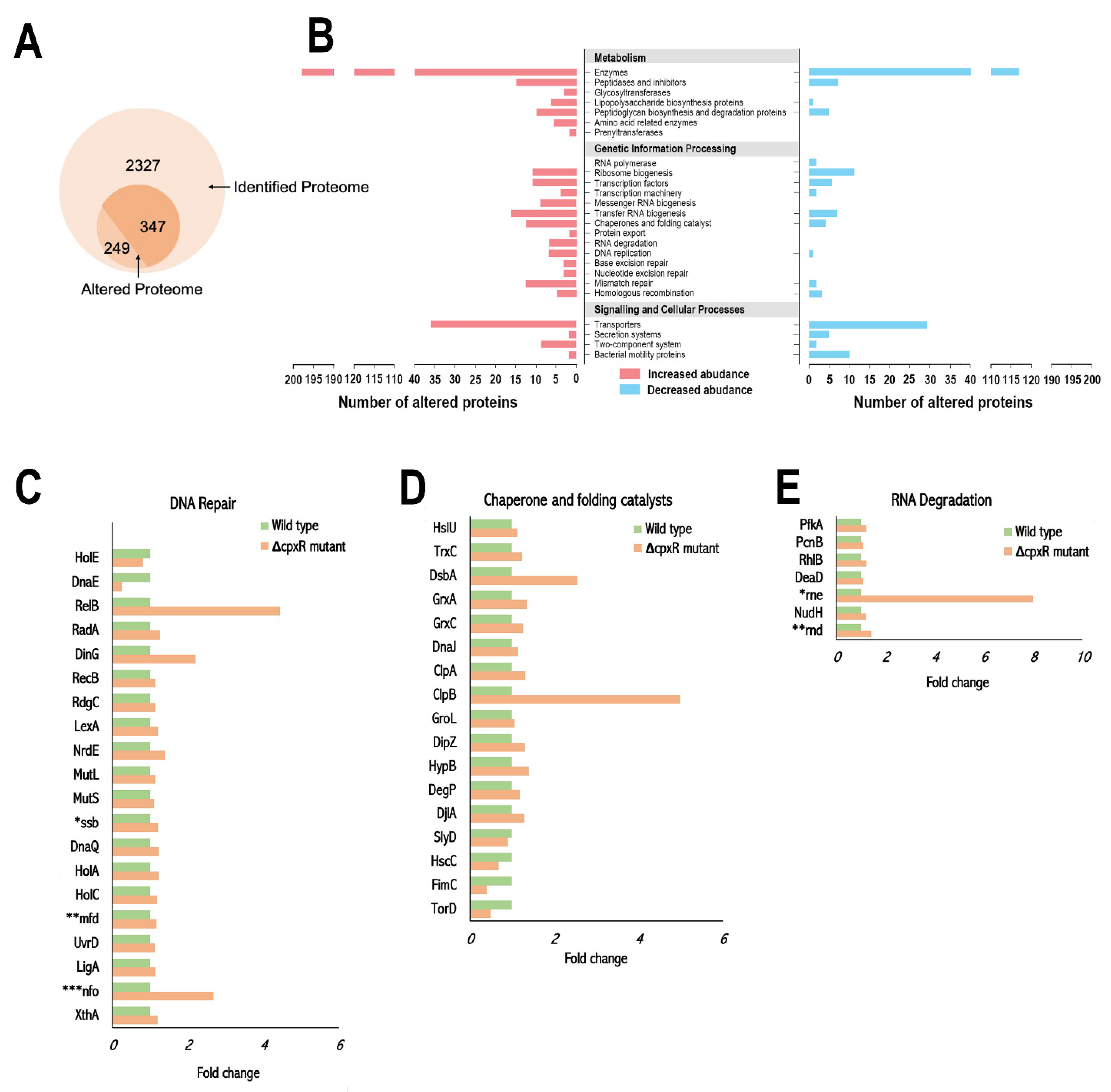 Ijms 22 08938 g005 550