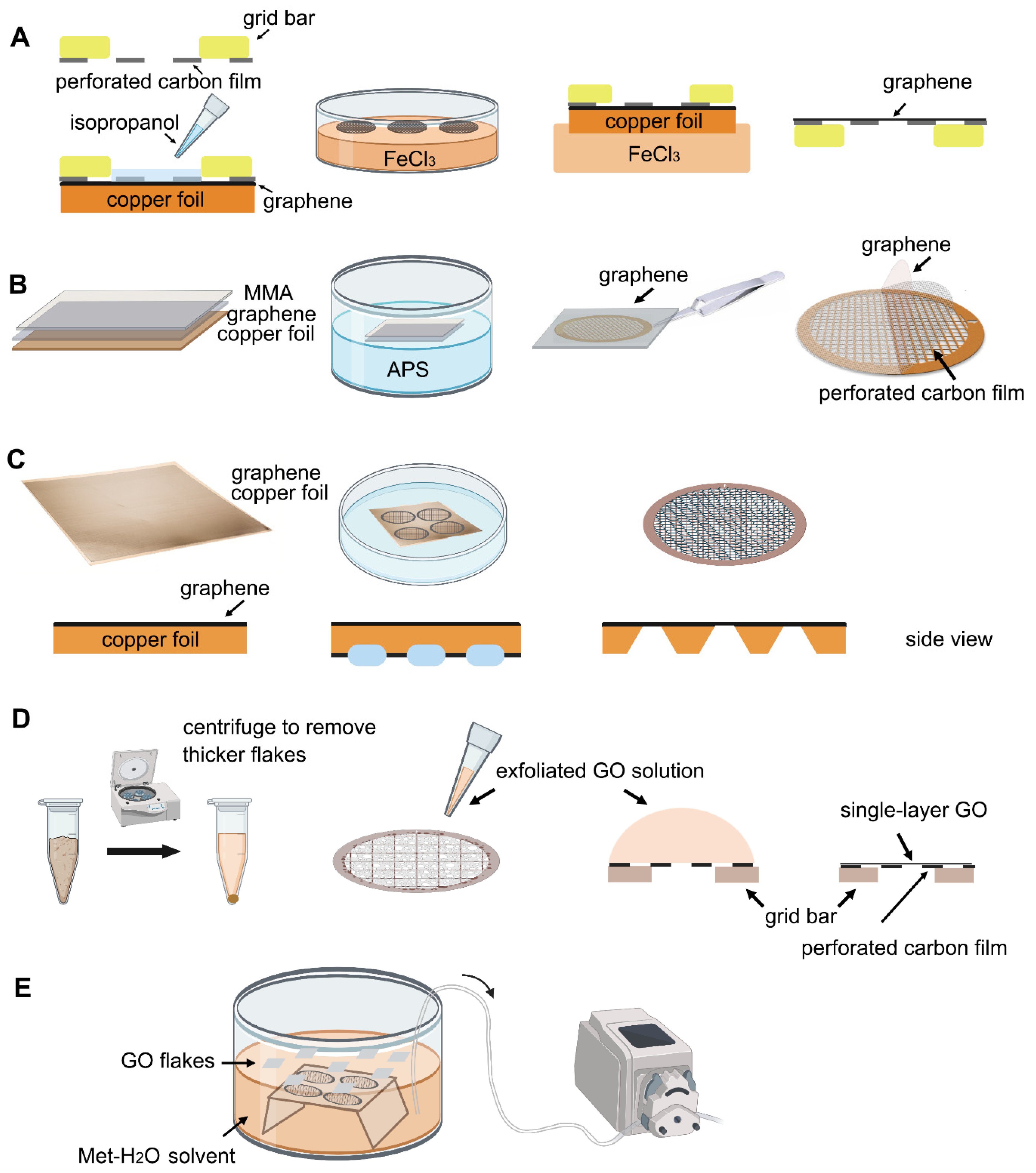 Ijms 22 08940 g002 Ijms 22 08940 g002