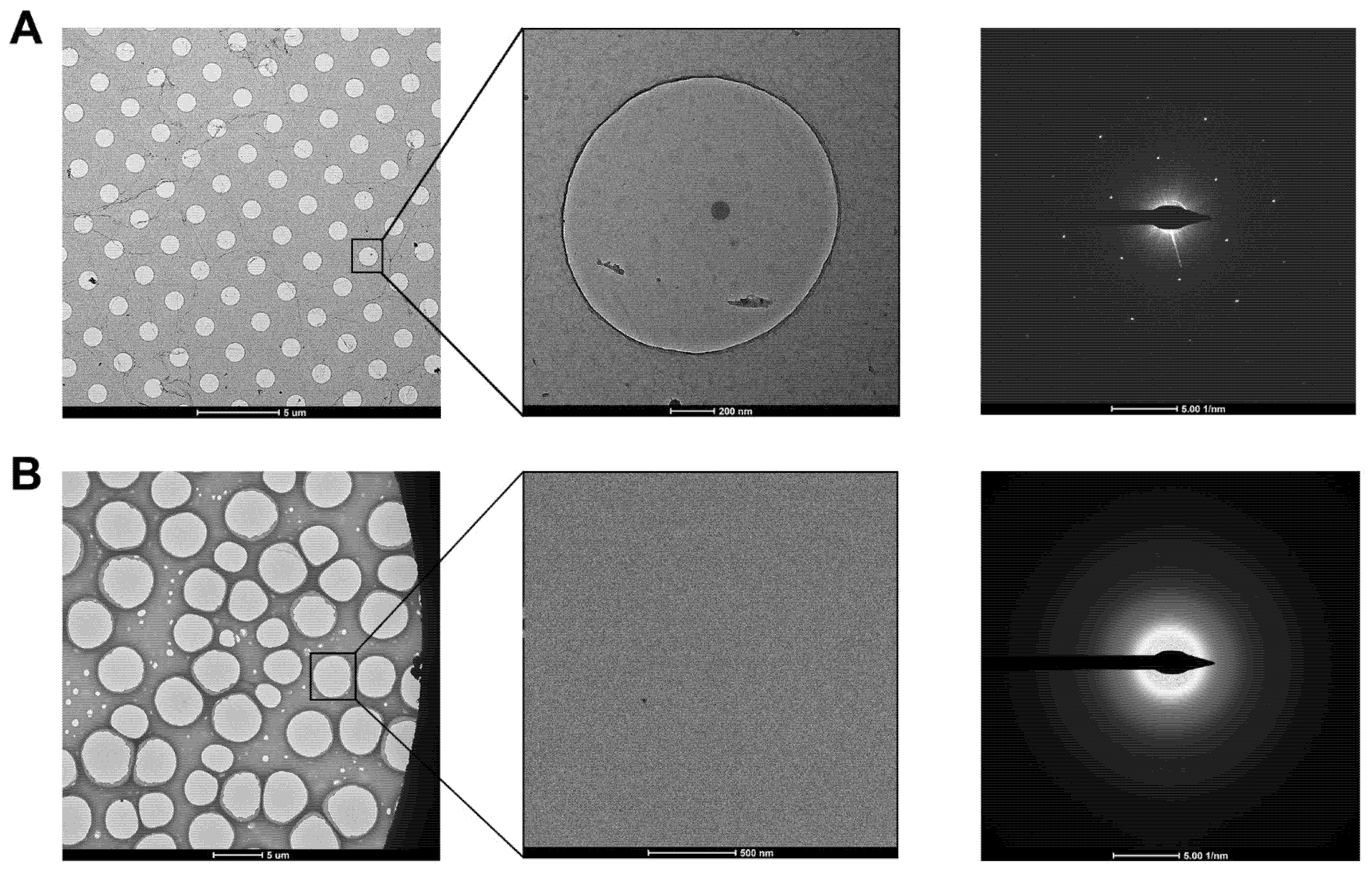 Ijms 22 08940 g003 Ijms 22 08940 g003