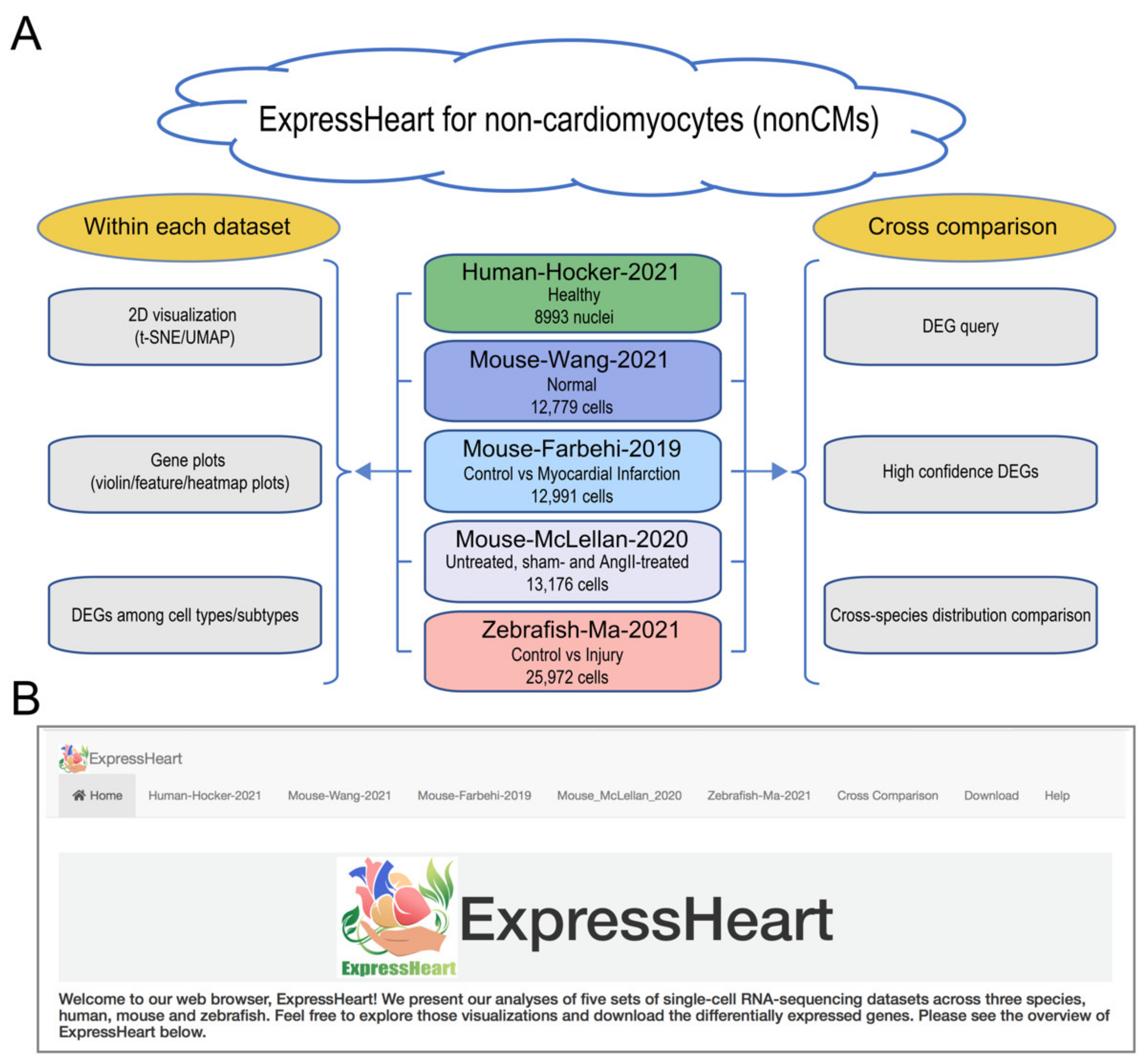 Ijms 22 08943 g001 550