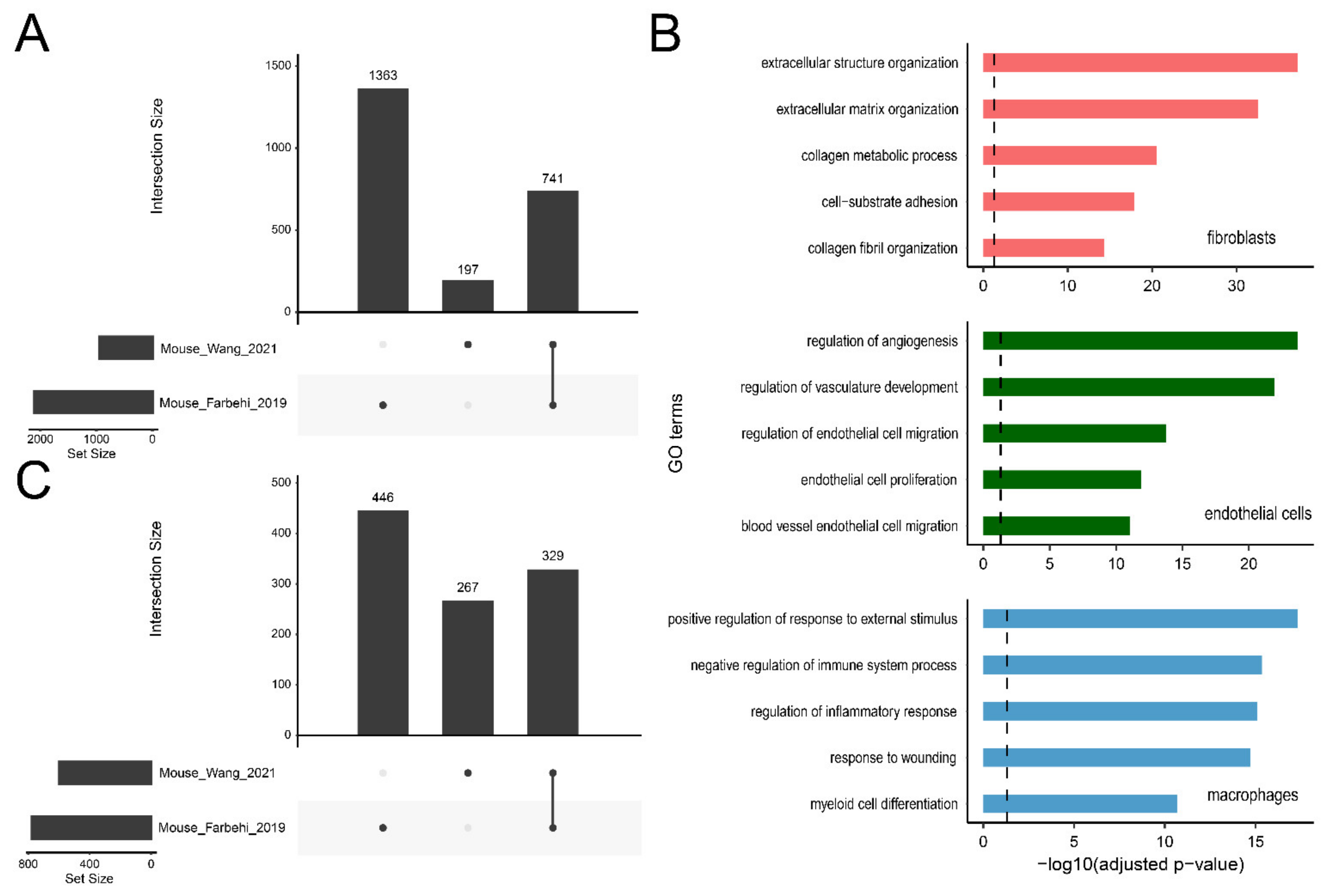 Ijms 22 08943 g005 550