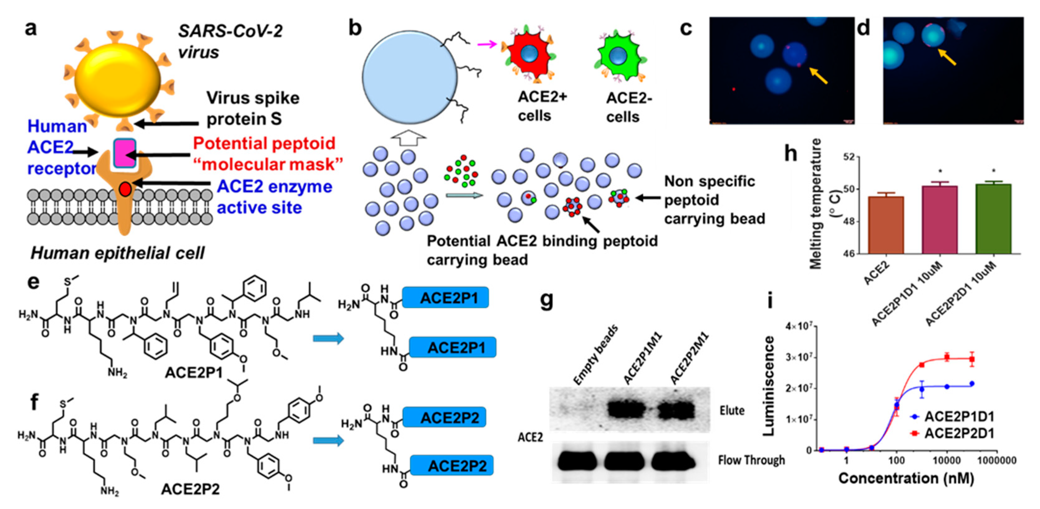 Ijms 22 08963 g001 550