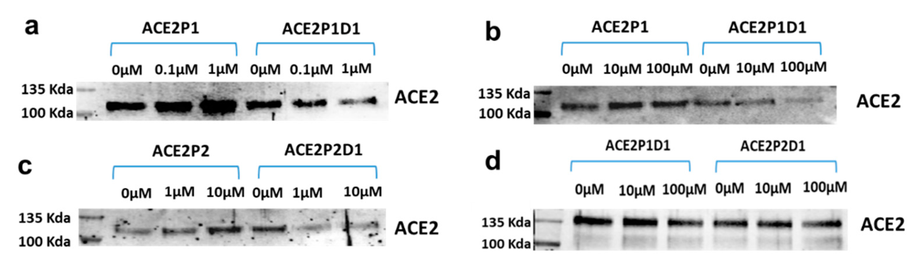 Ijms 22 08963 g002 550