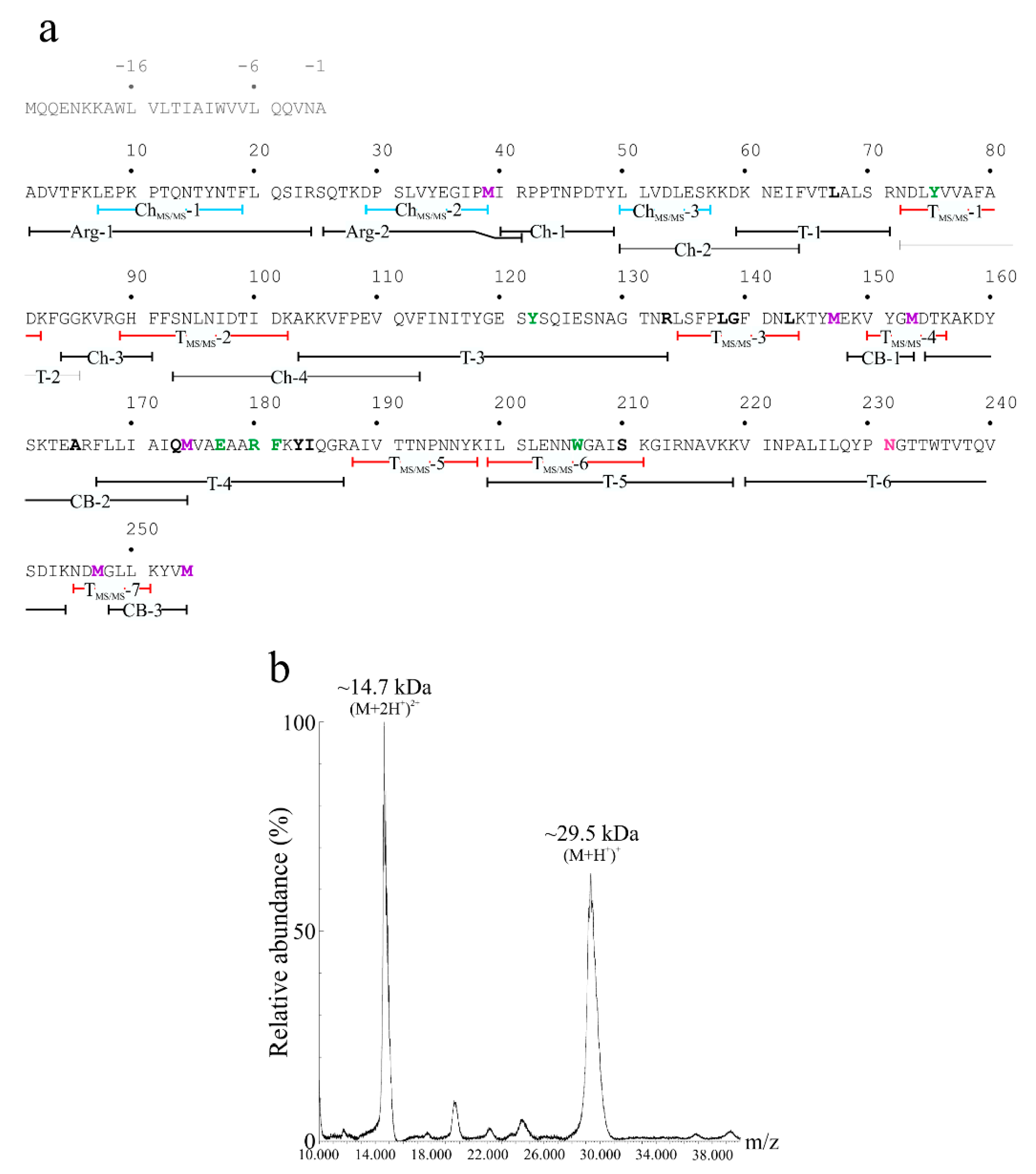 Ijms 22 08964 g002 550