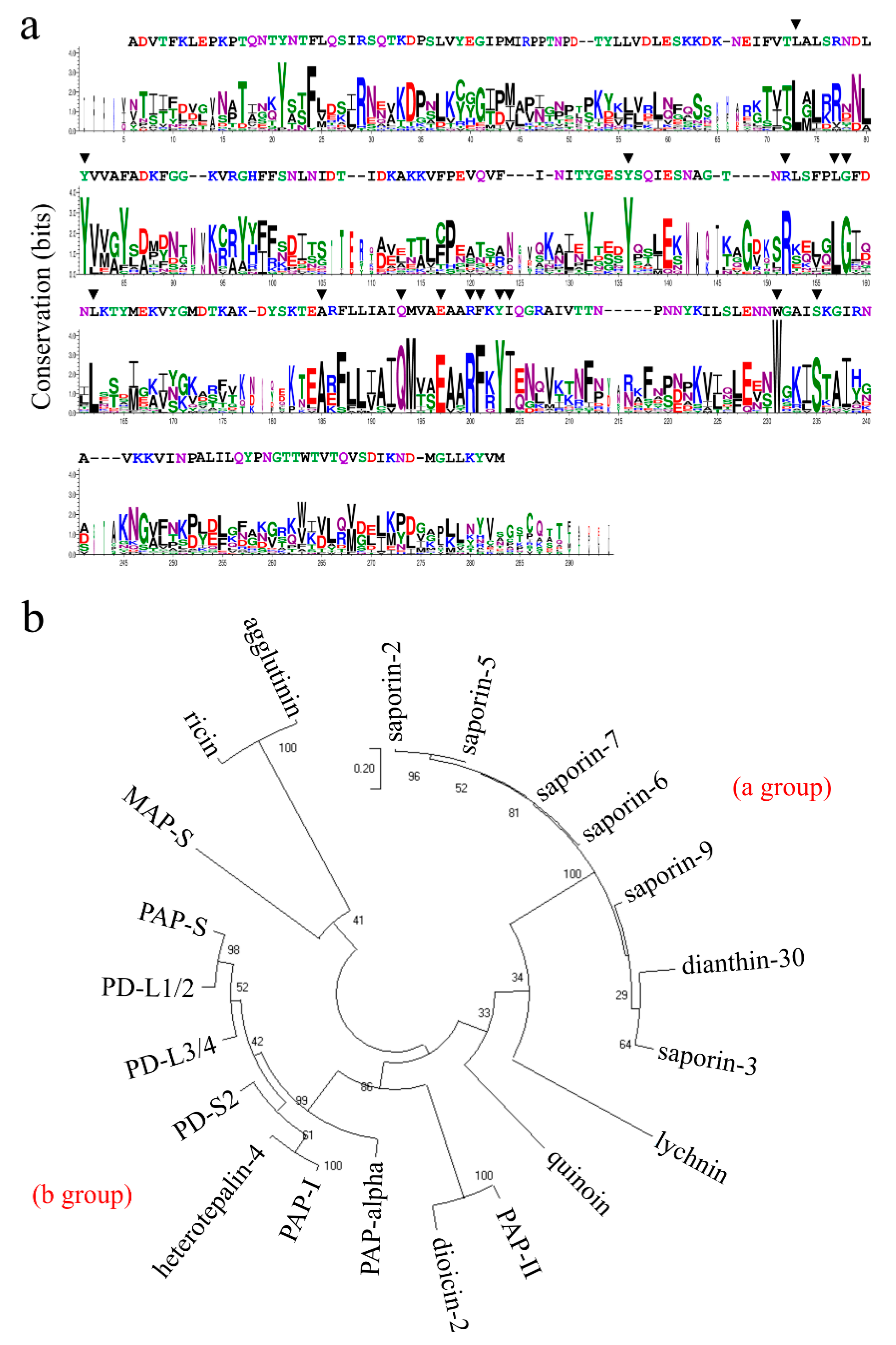Ijms 22 08964 g003 550
