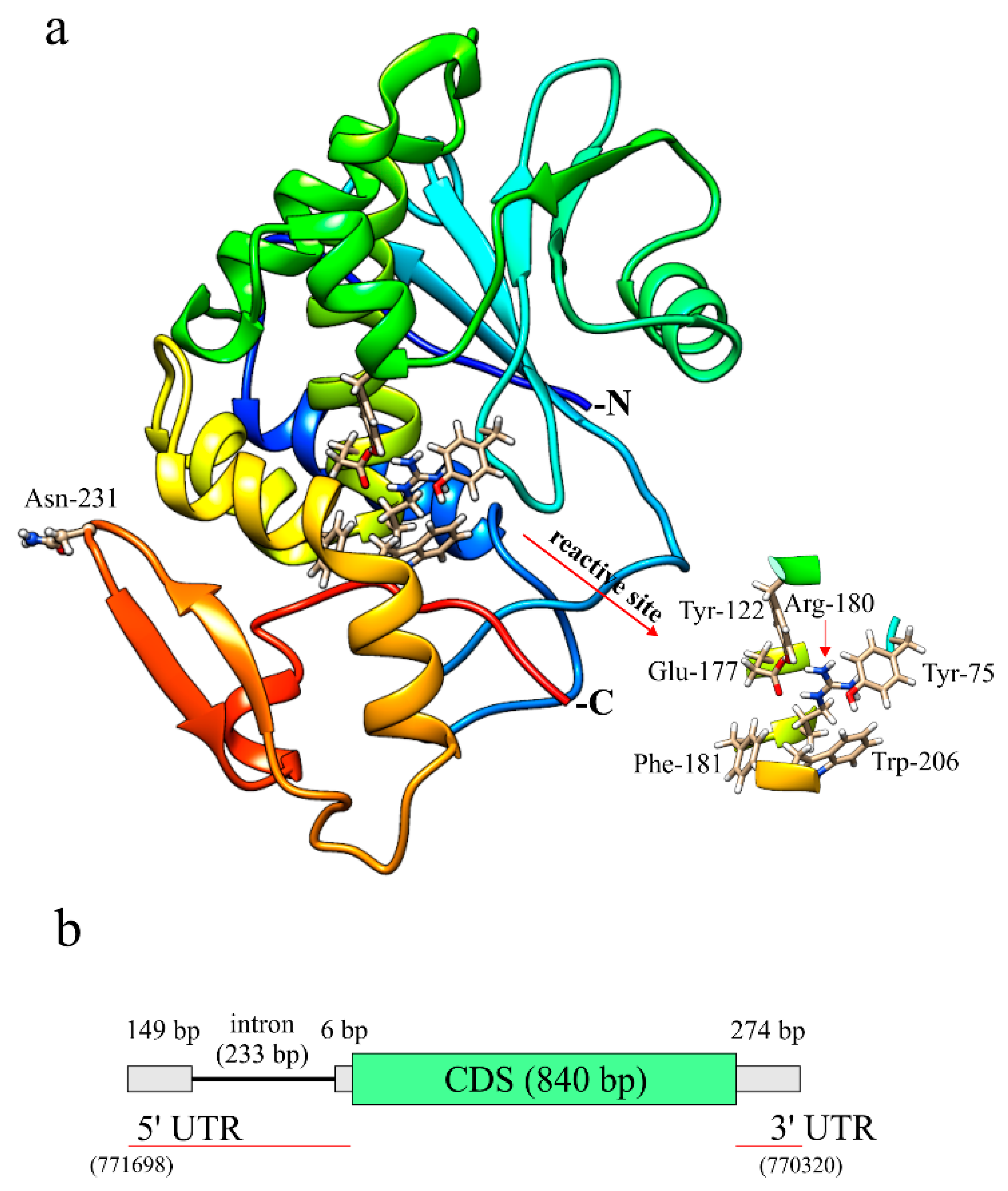 Ijms 22 08964 g004 550