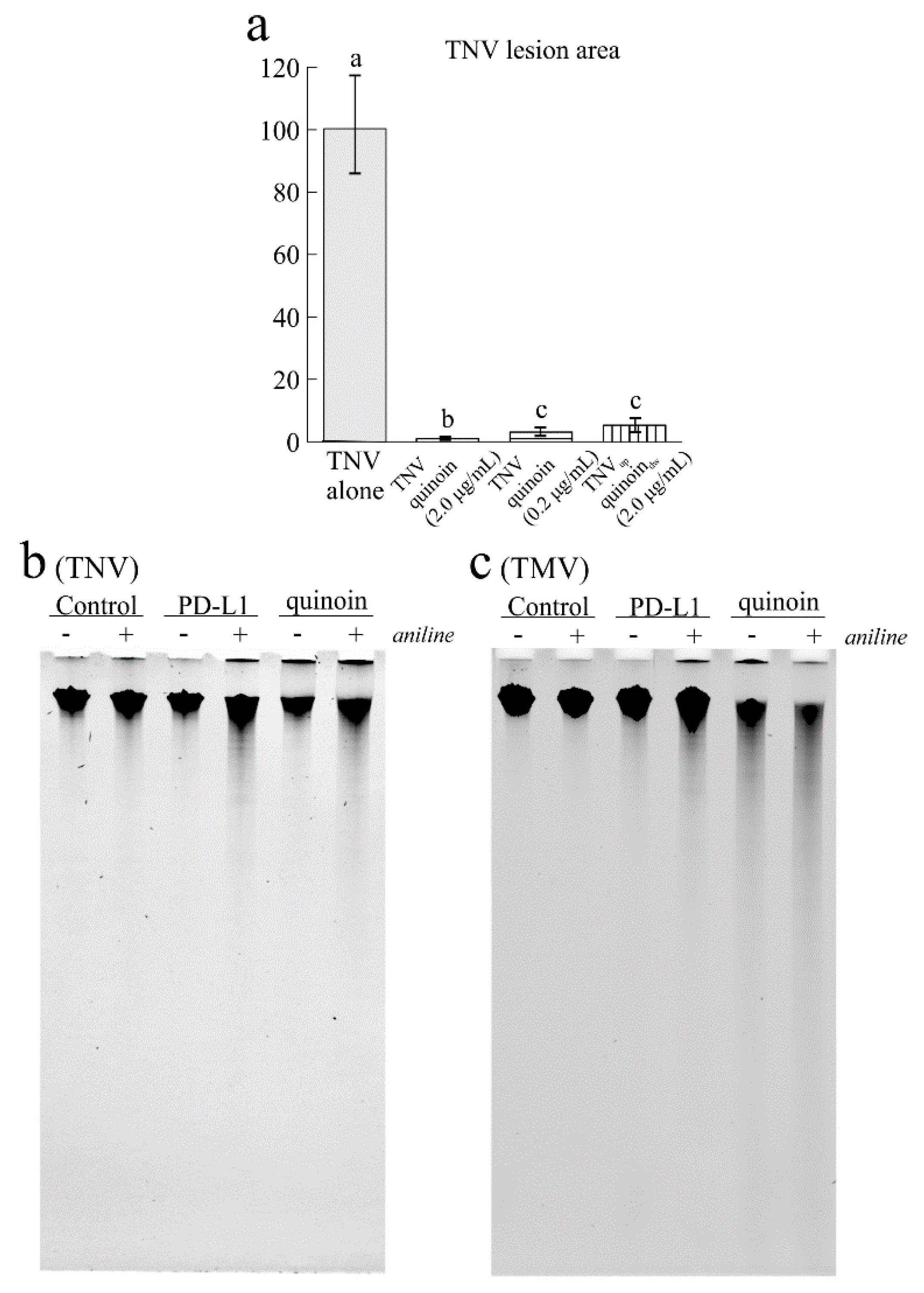 Ijms 22 08964 g005 550