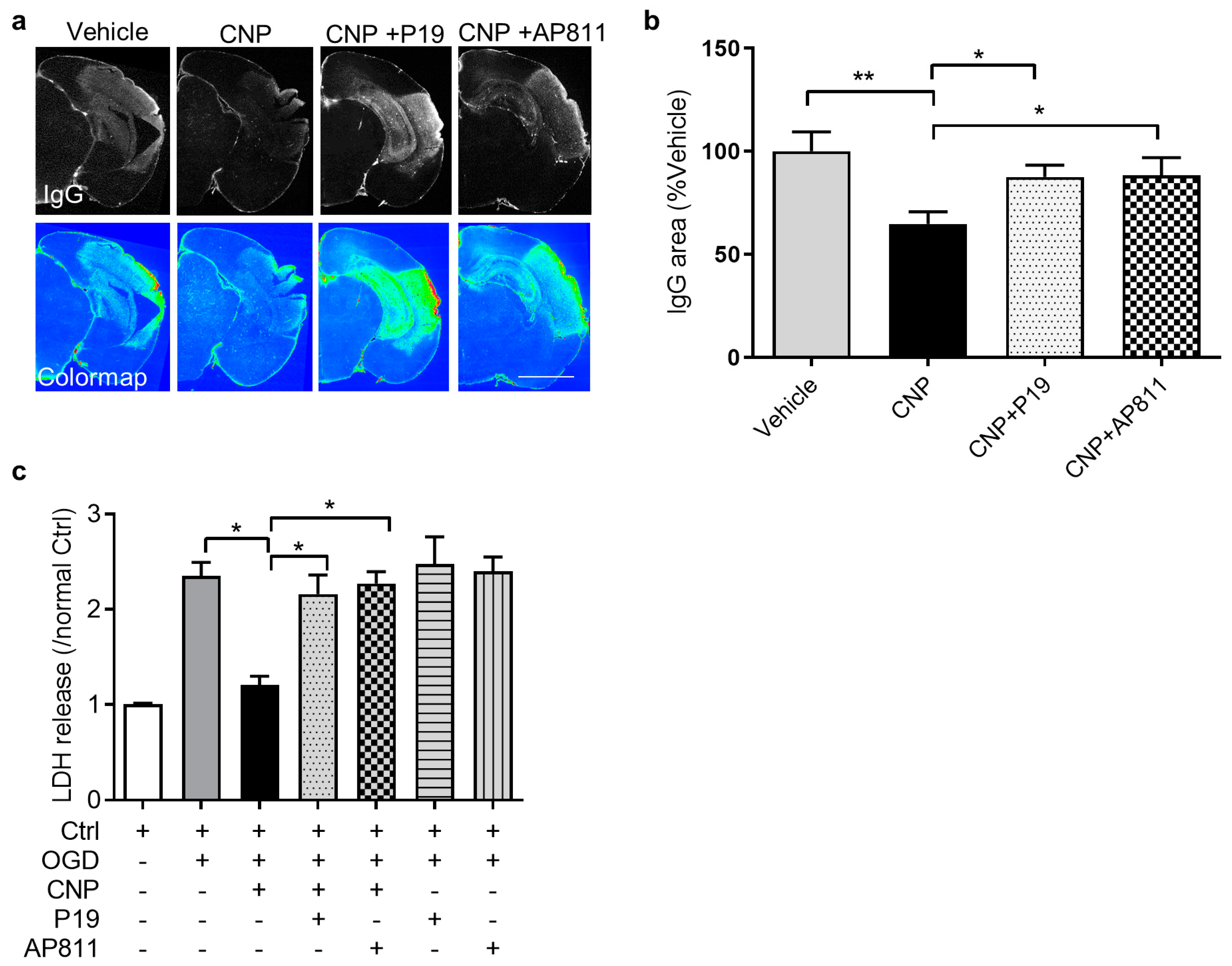 Ijms 22 08966 g003 550