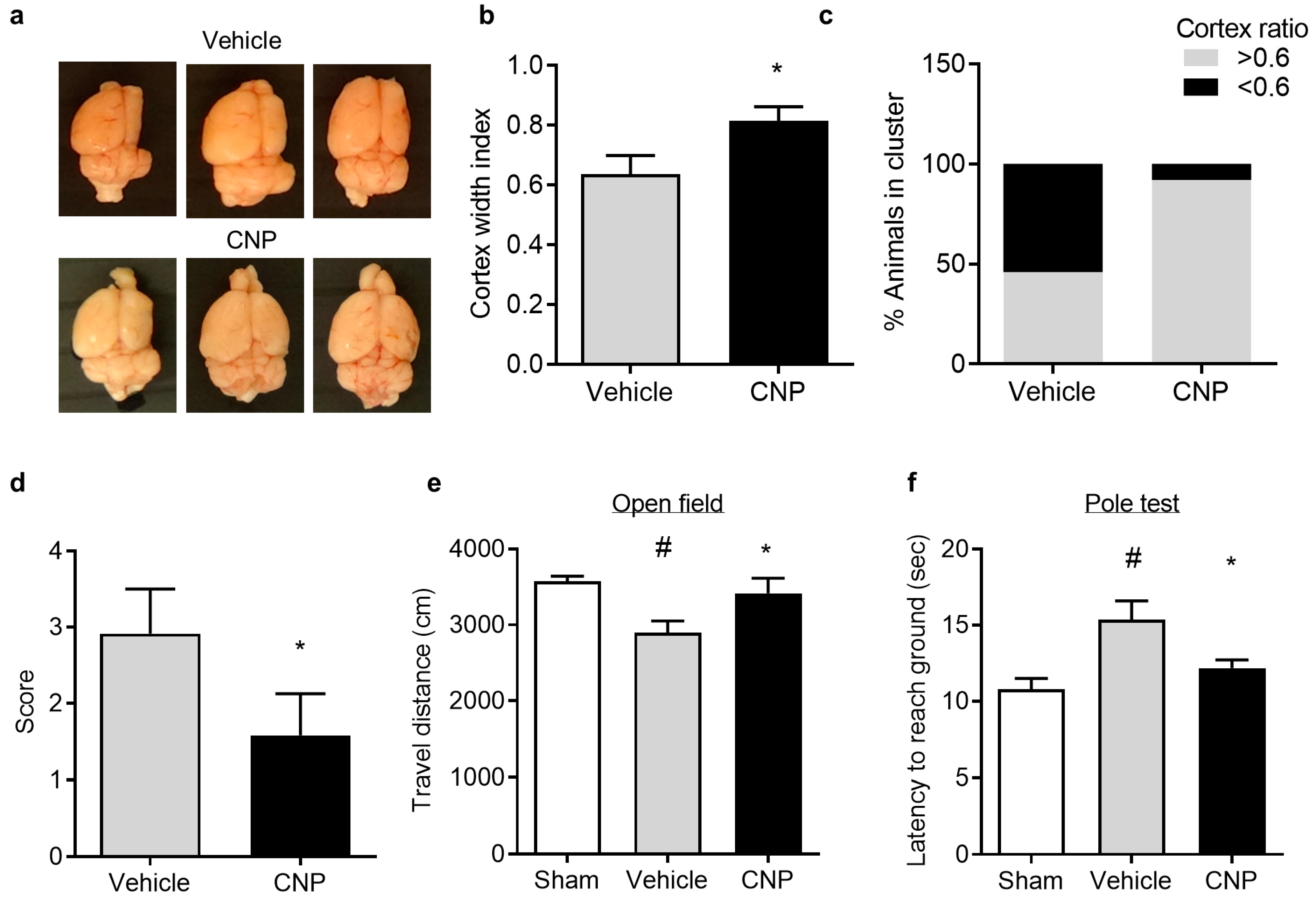 Ijms 22 08966 g004 550