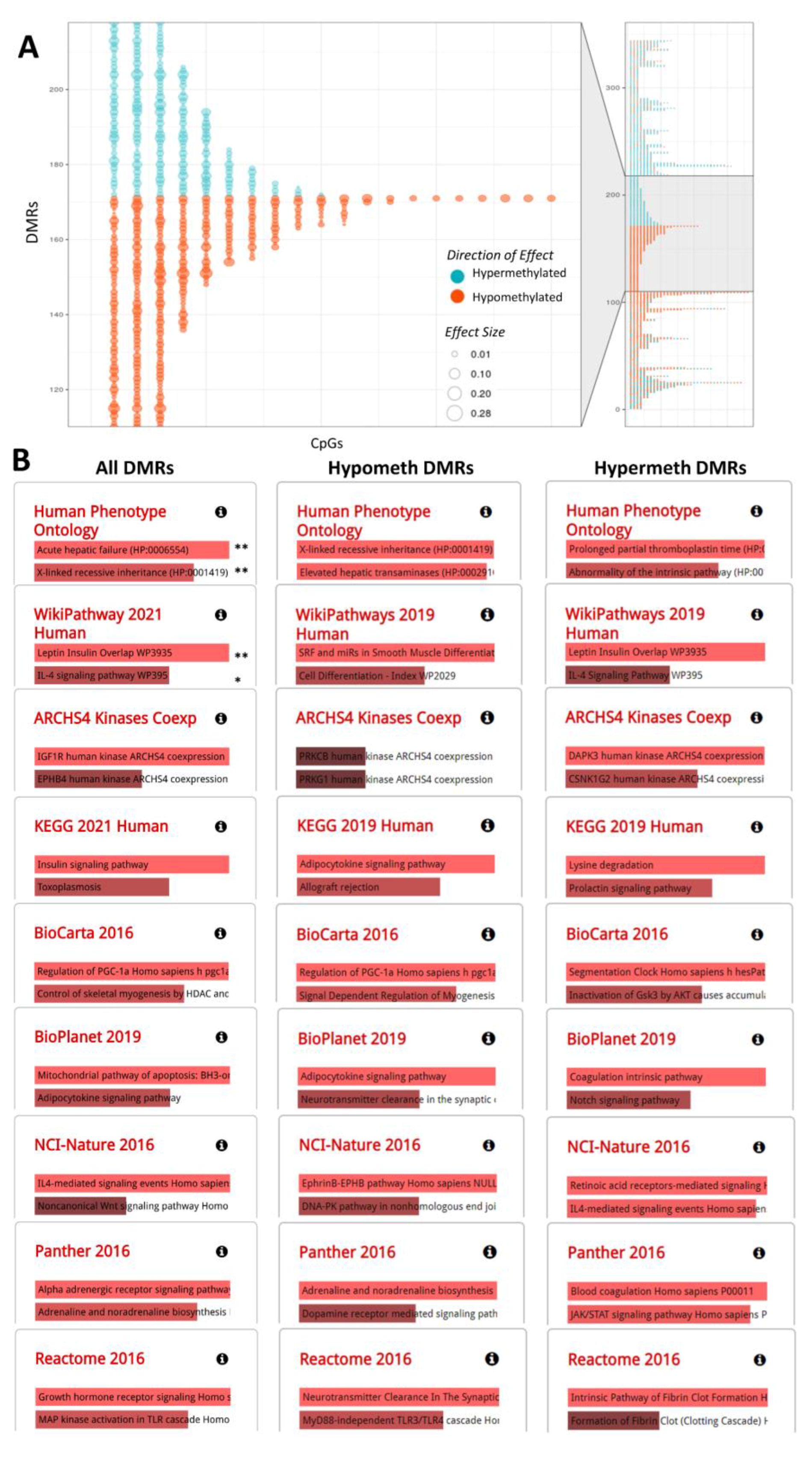 Ijms 22 08967 g002 Ijms 22 08967 g002