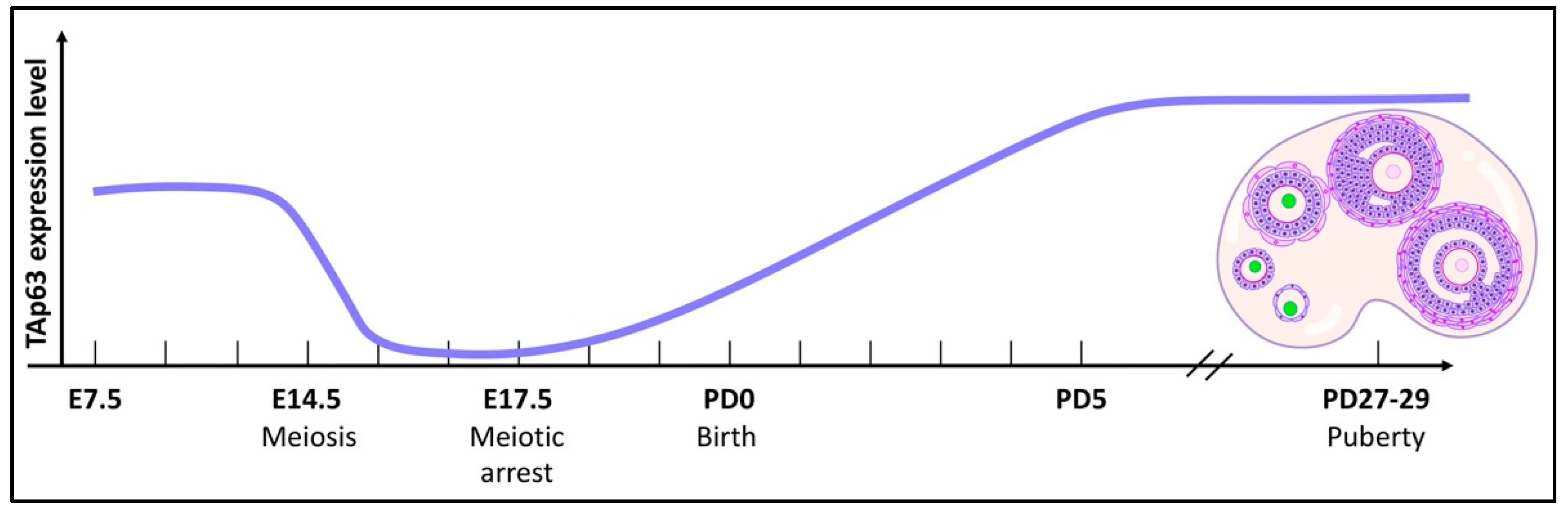 Ijms 22 08968 g002 Ijms 22 08968 g002