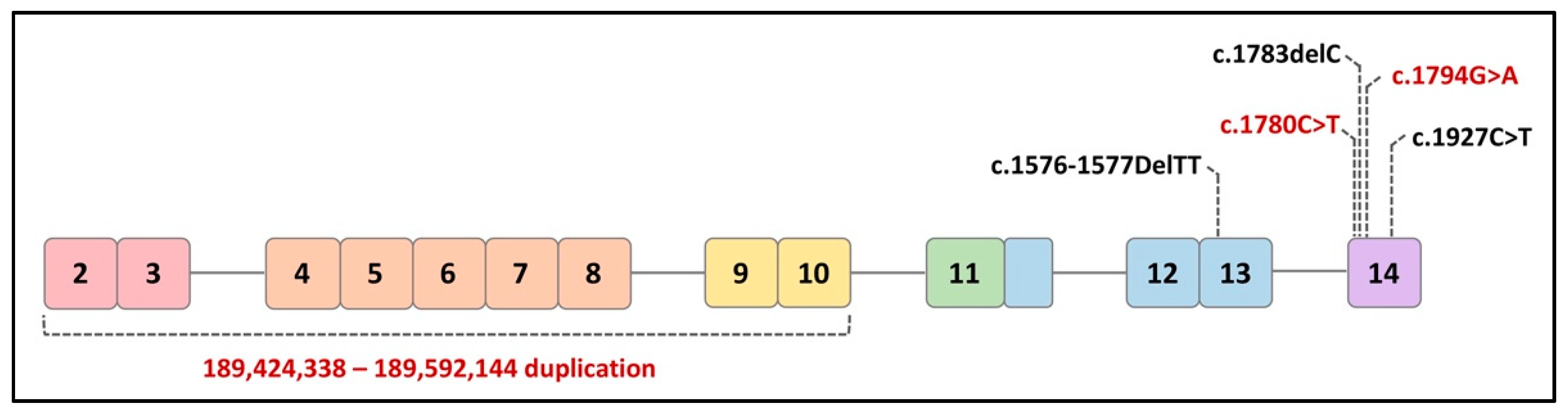 Ijms 22 08968 g004 Ijms 22 08968 g004