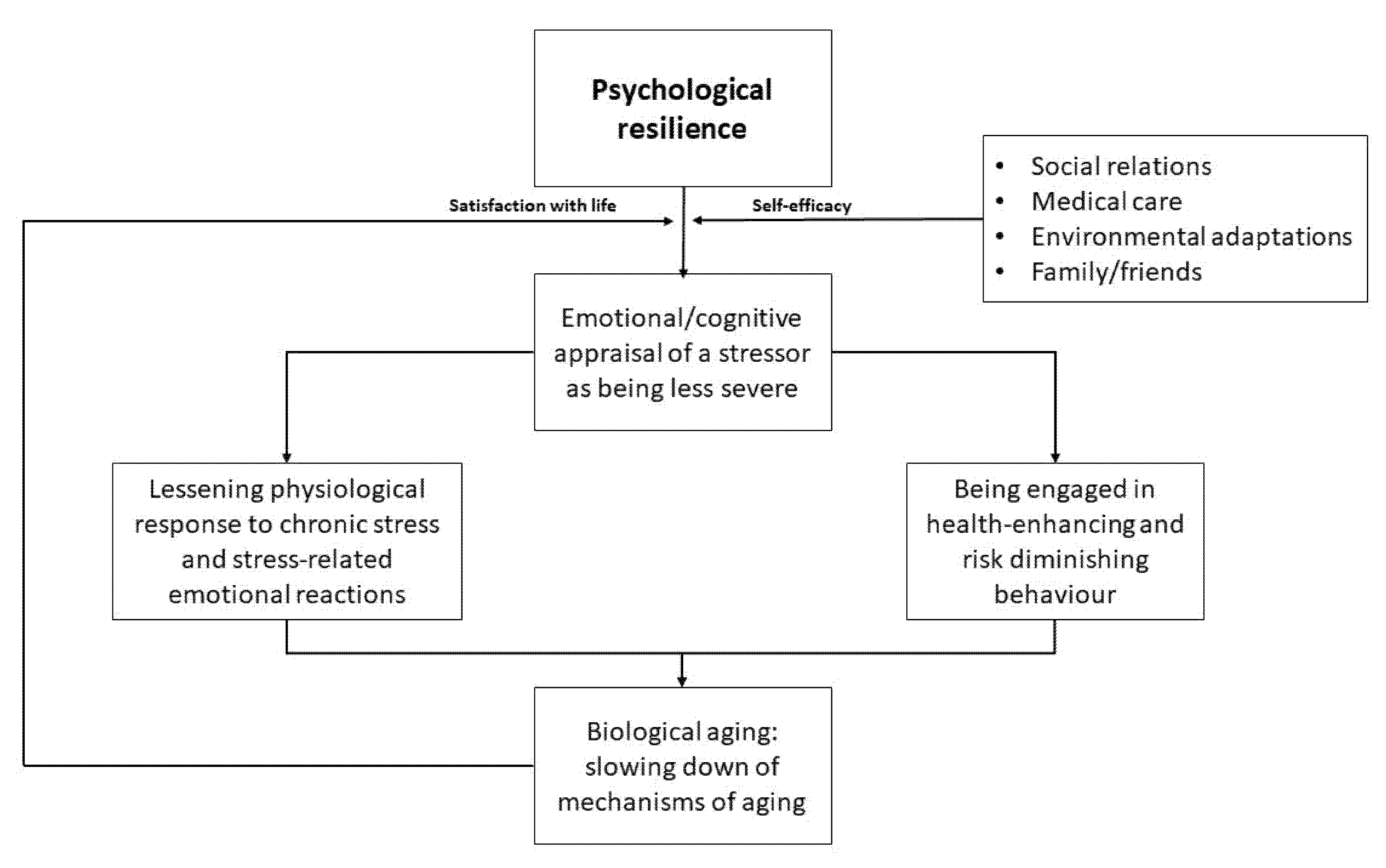 Does social support mediate the effect of multimorbidity on mental