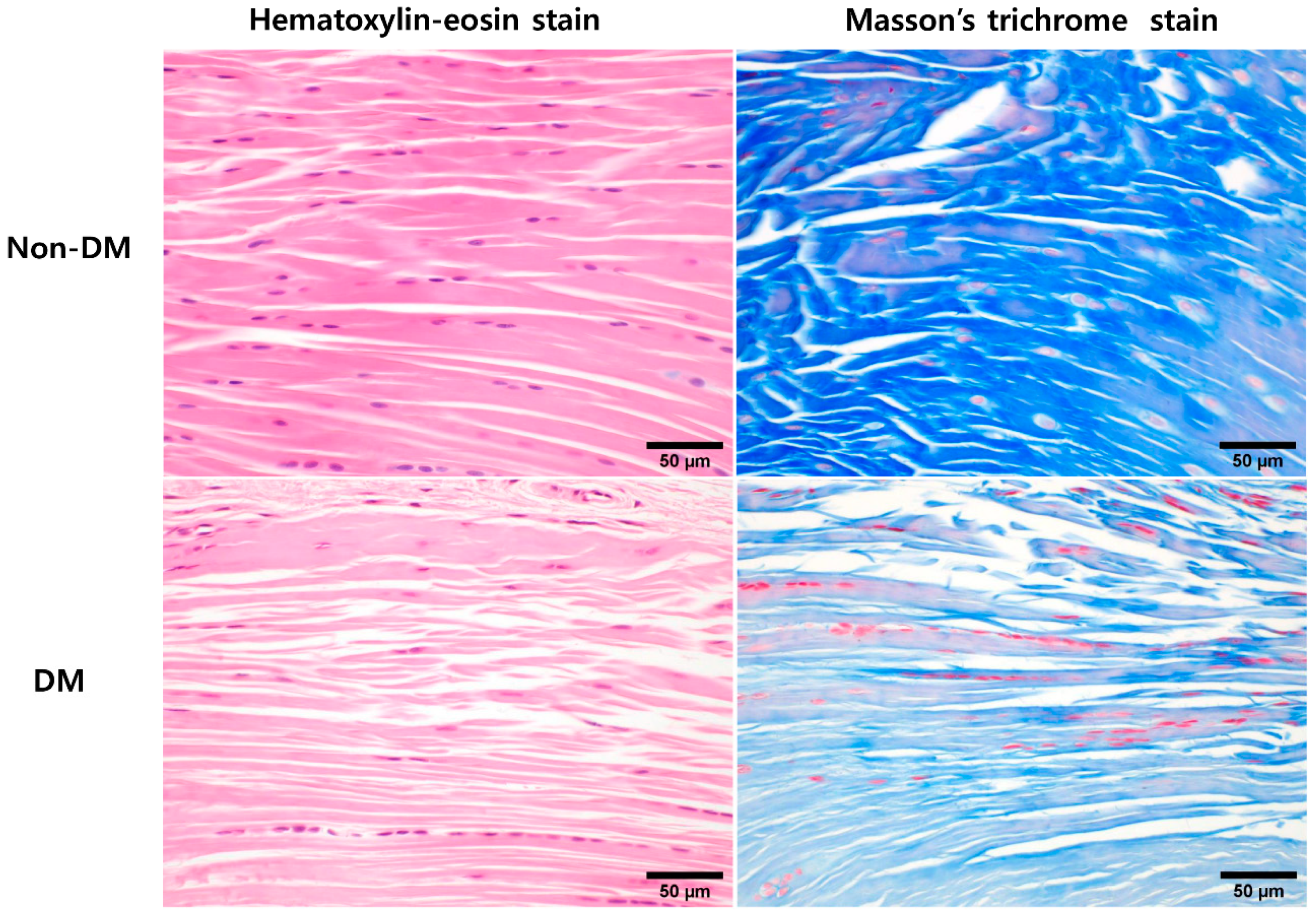 Ijms 22 08983 g001 550