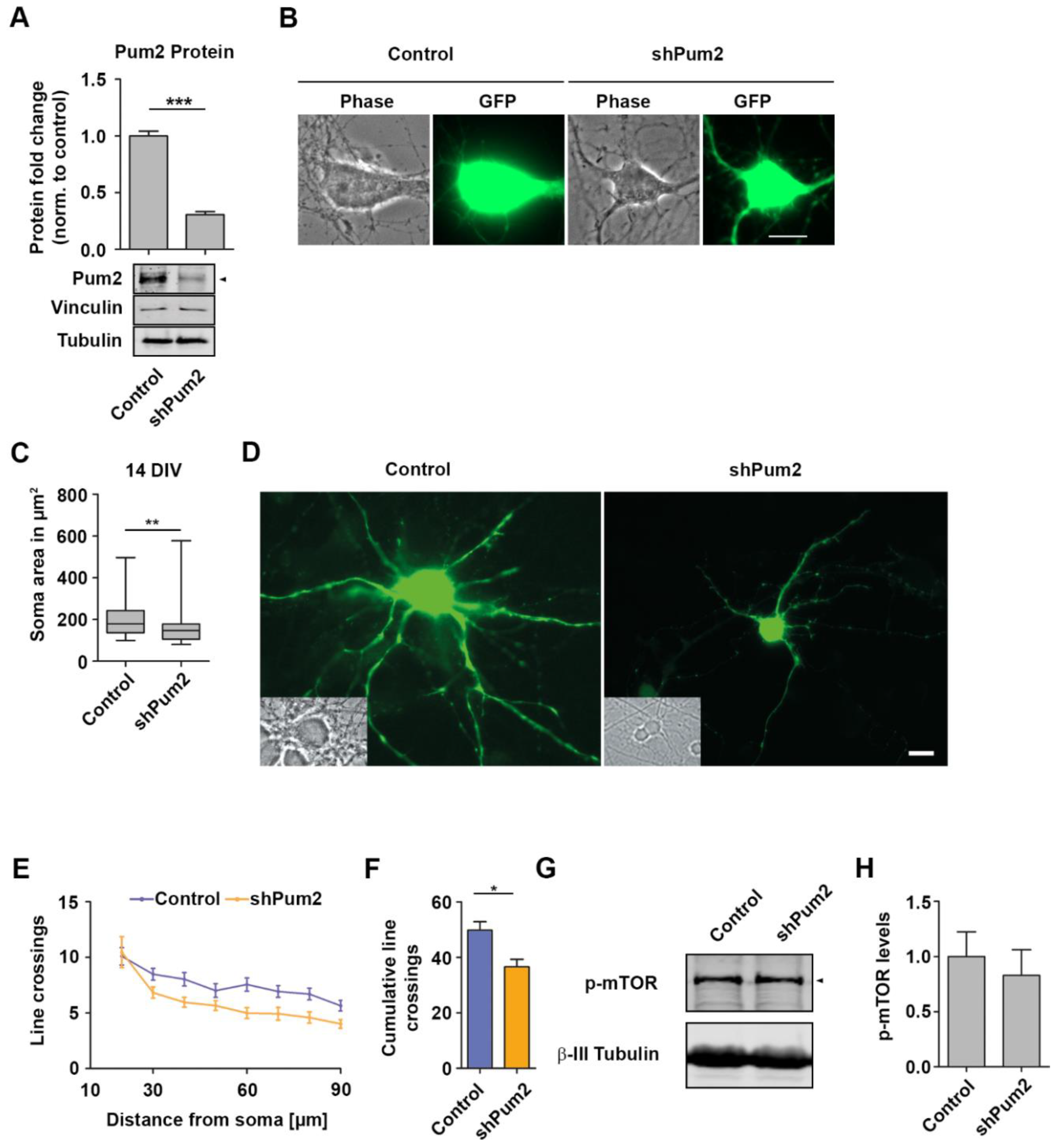 Ijms 22 08998 g002 550