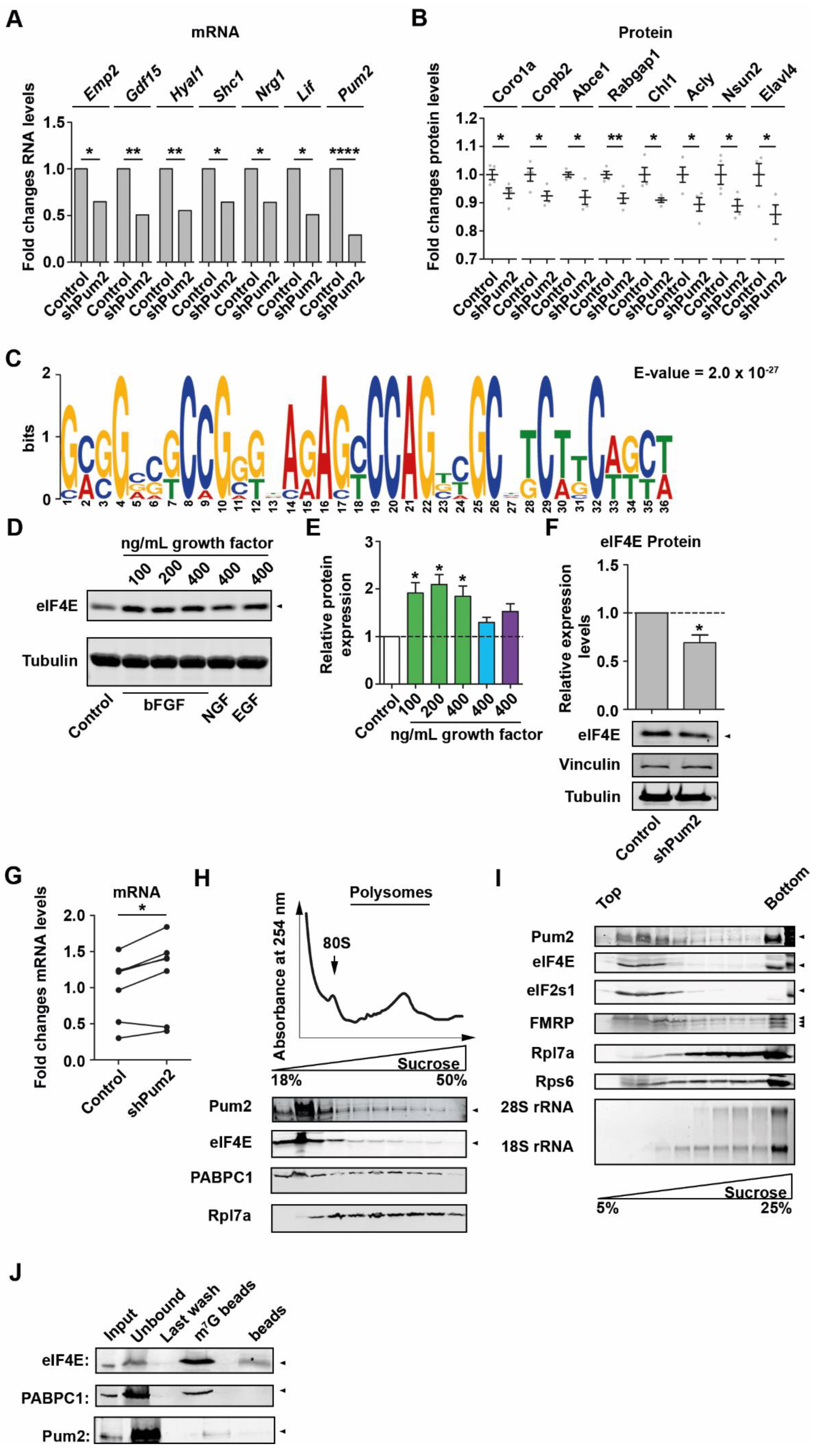 Ijms 22 08998 g003 550