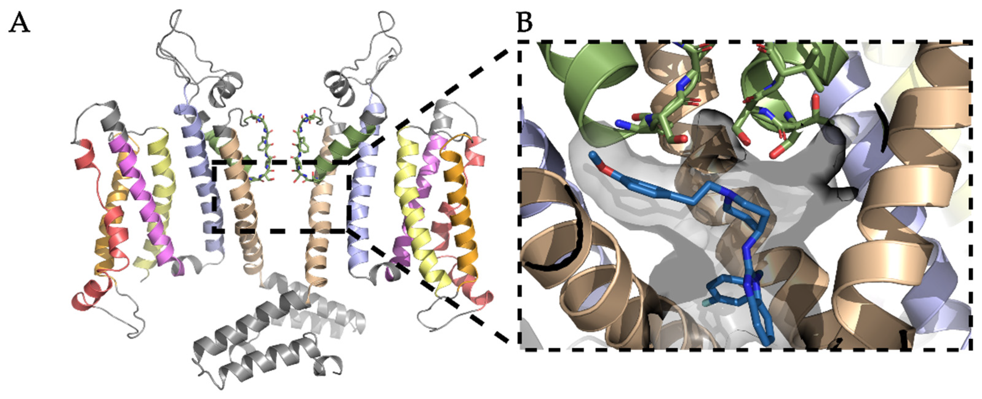 Ijms 22 08999 g001 550