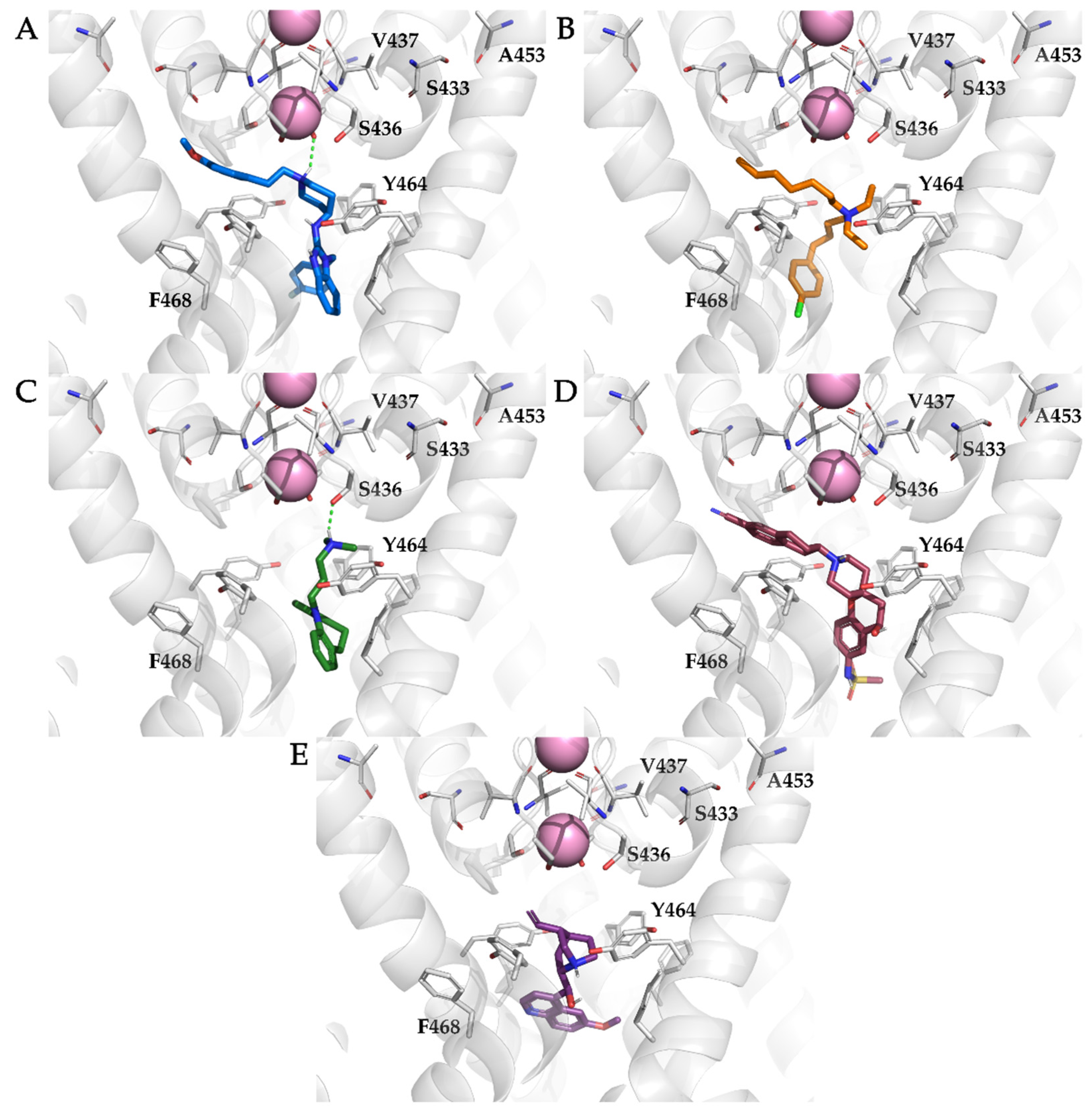 Ijms 22 08999 g005 550