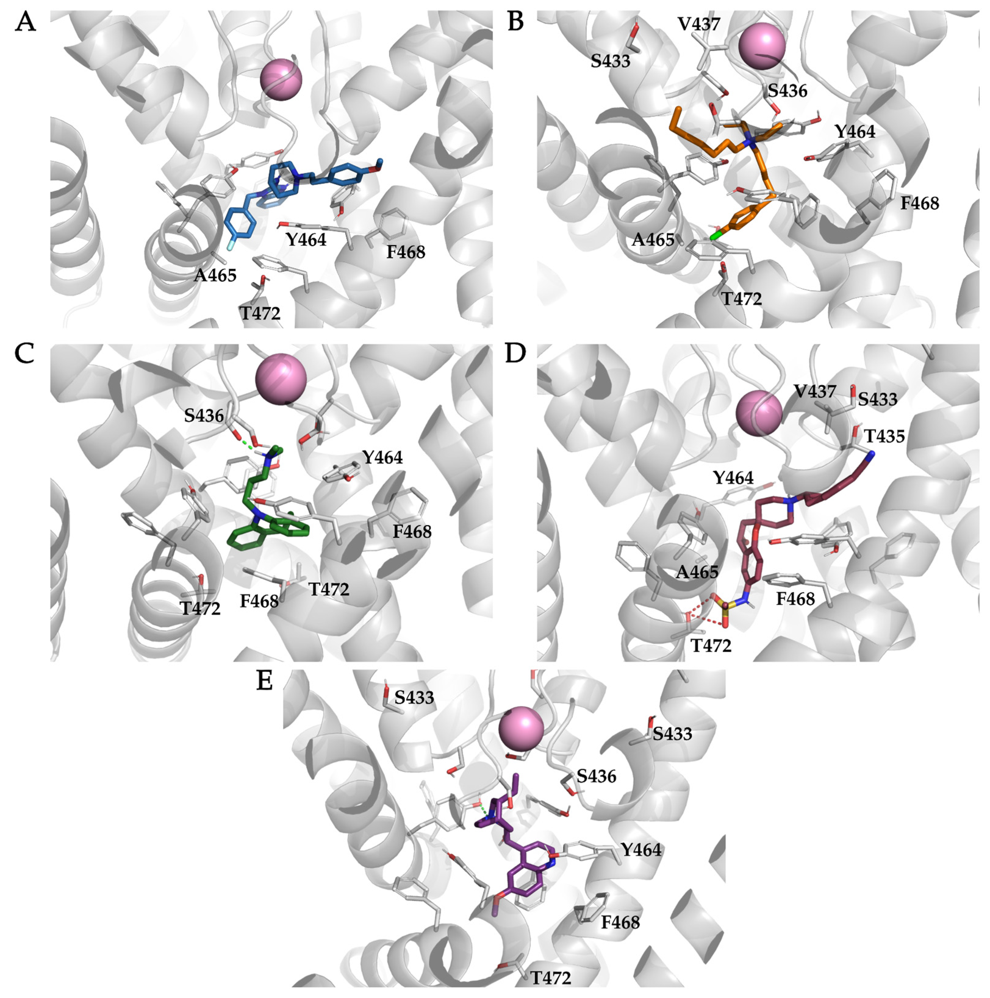 Ijms 22 08999 g008 550