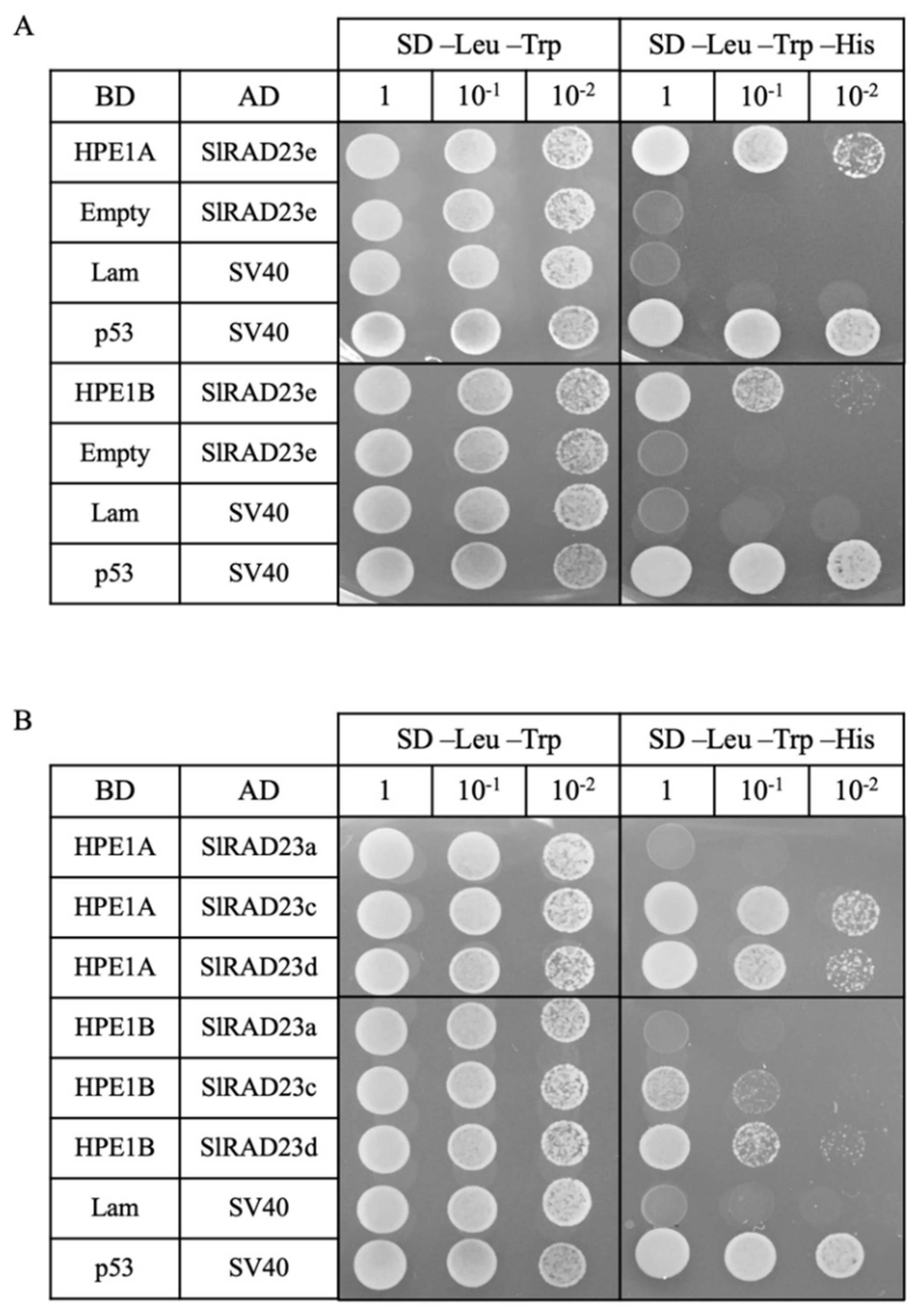 Ijms 22 09003 g002 550