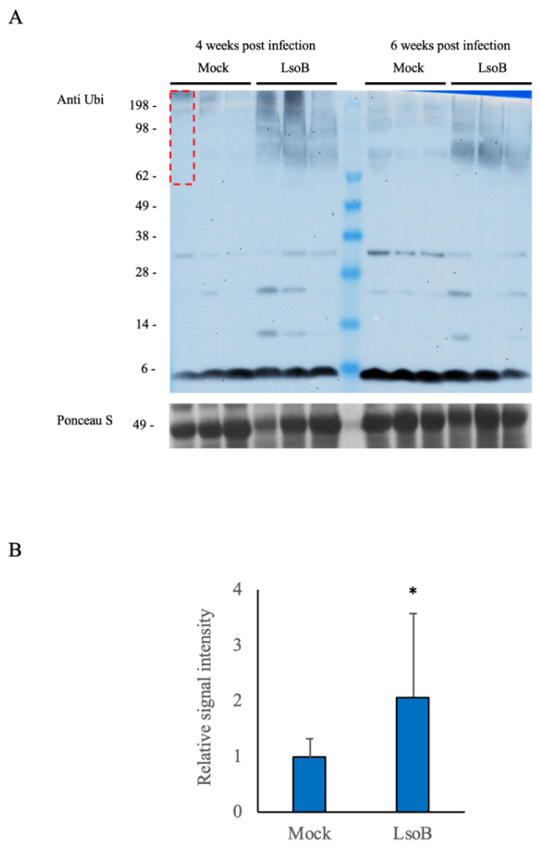 Ijms 22 09003 g006 550