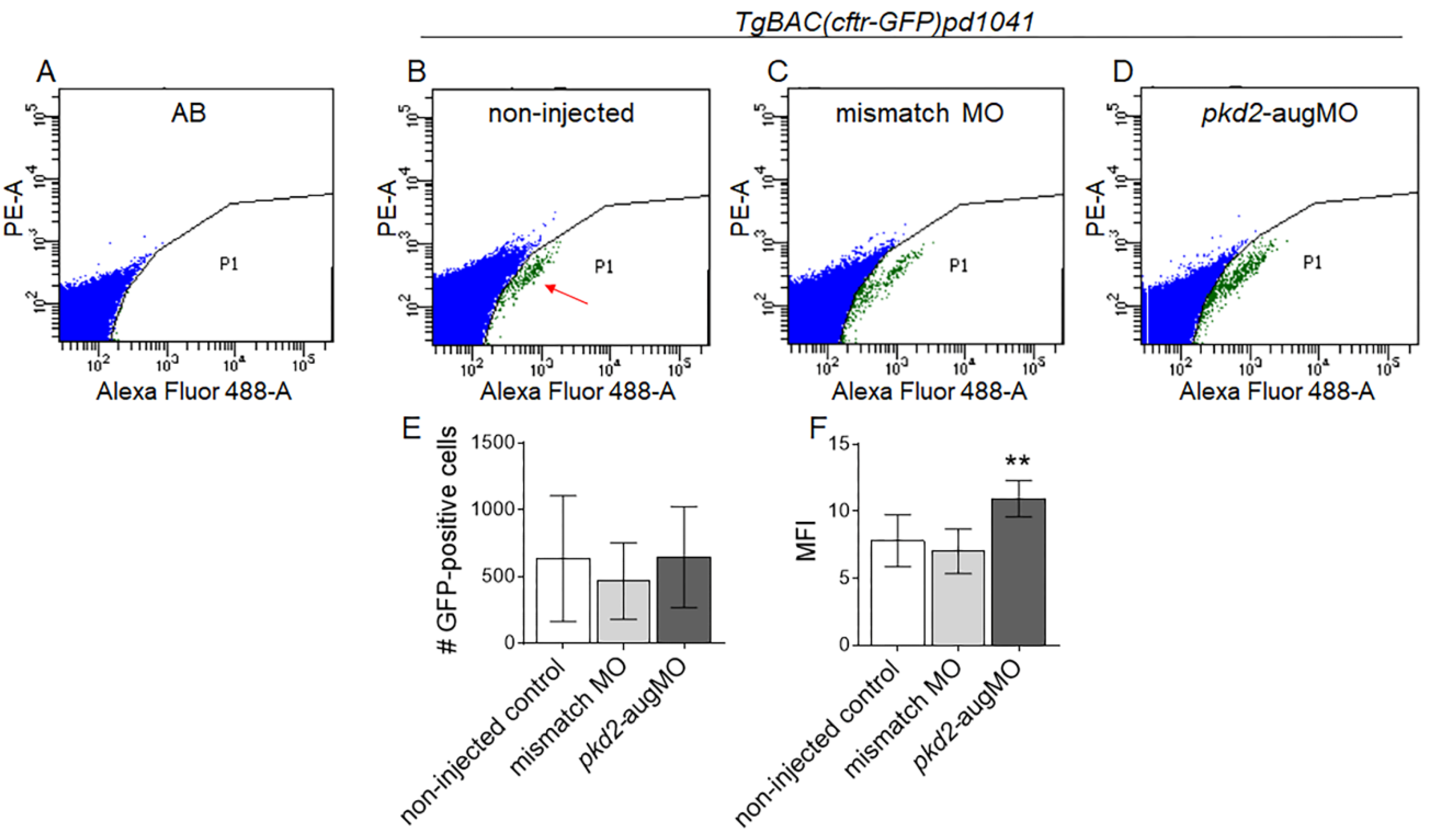Ijms 22 09013 g004 Ijms 22 09013 g004