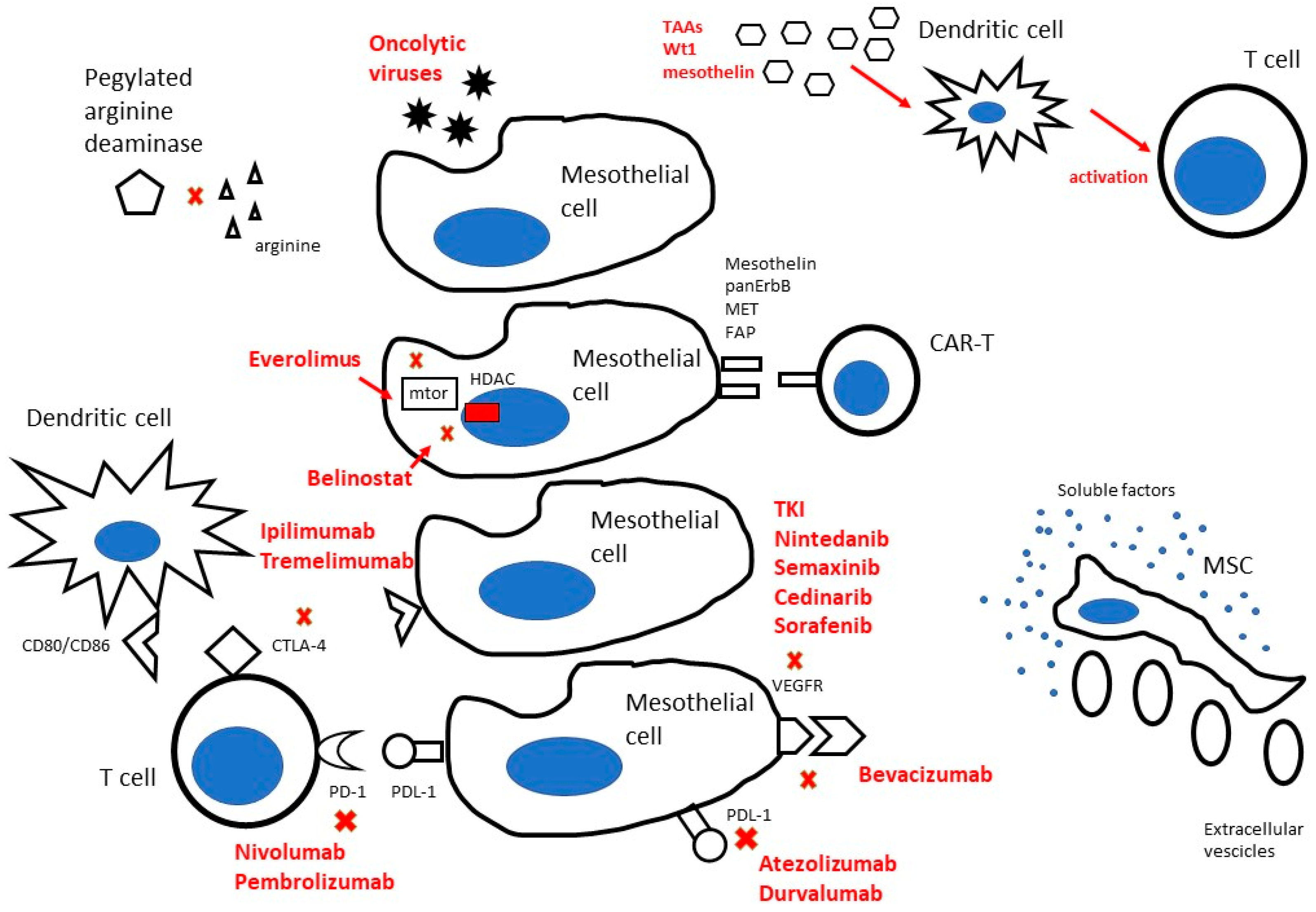 carboplatin vs cisplatin mesothelioma