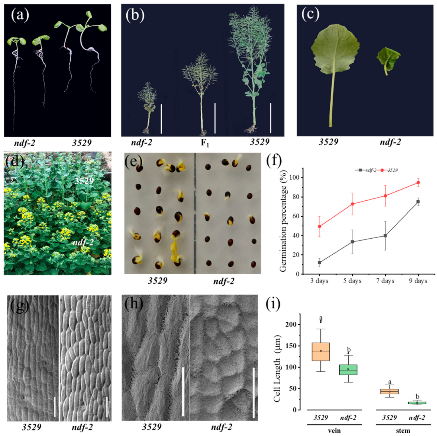 Ijms 22 09018 g001 550