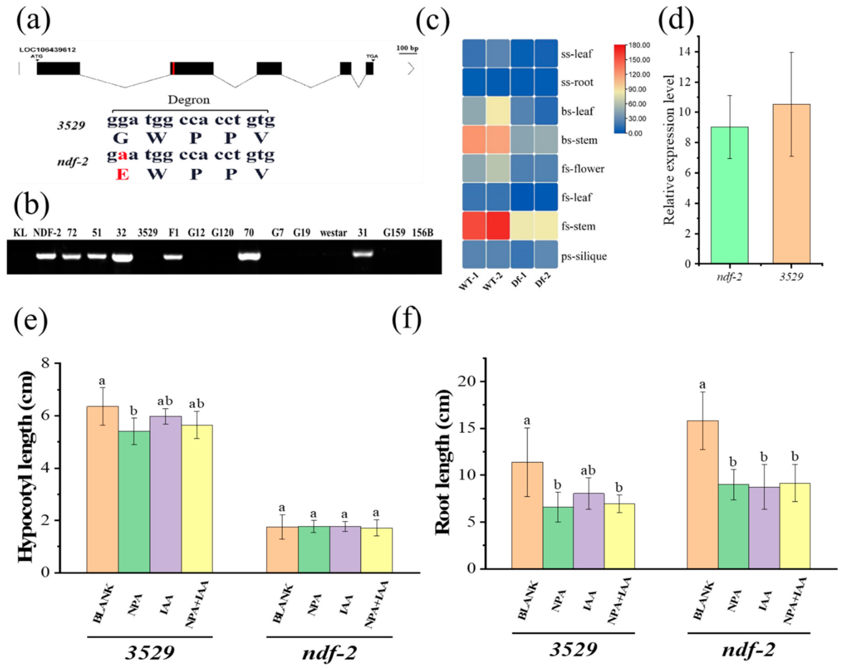 Ijms 22 09018 g003 550