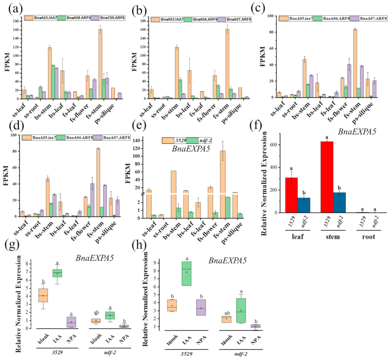 Ijms 22 09018 g004 550