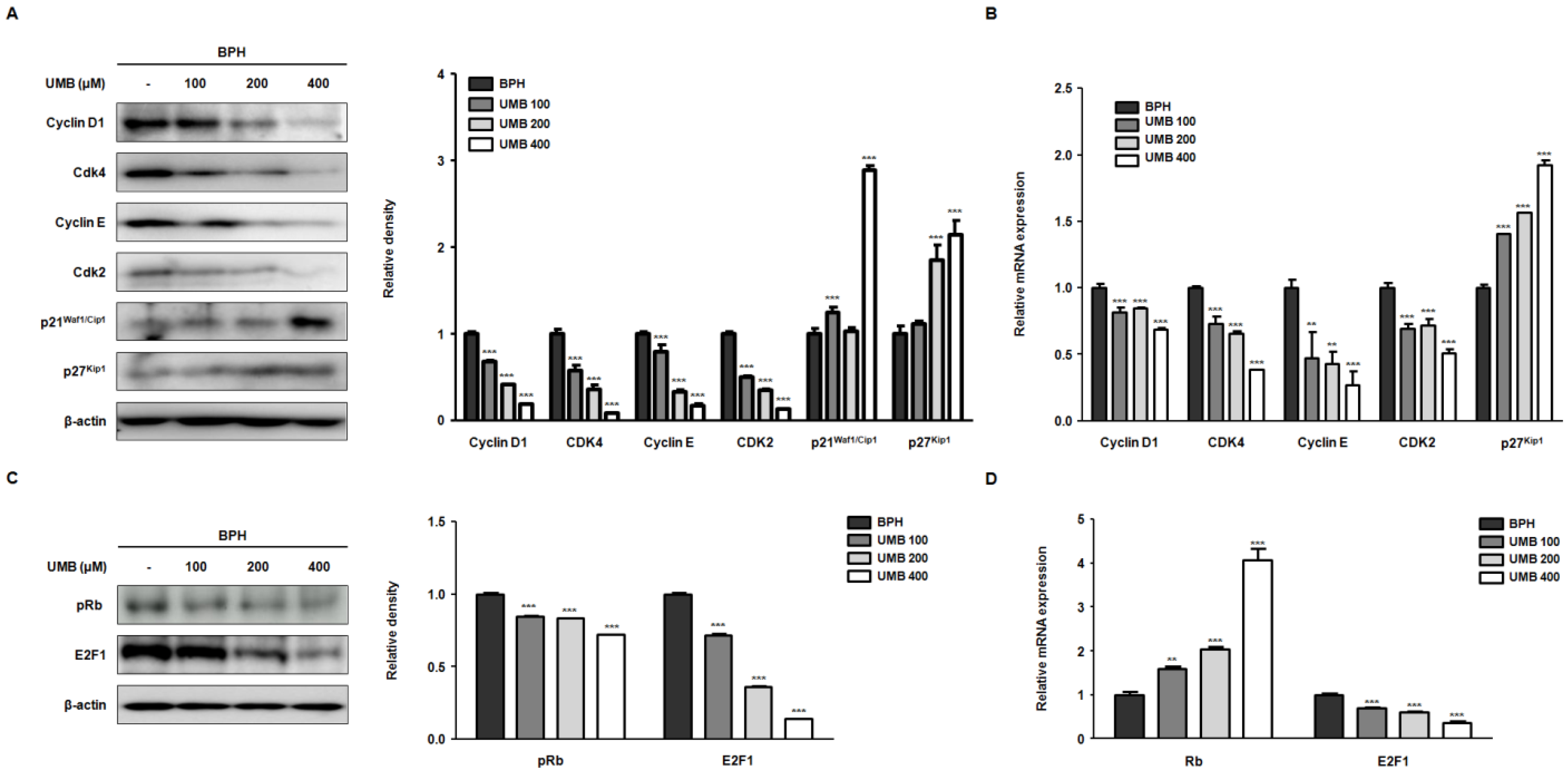 Ijms 22 09019 g002 550