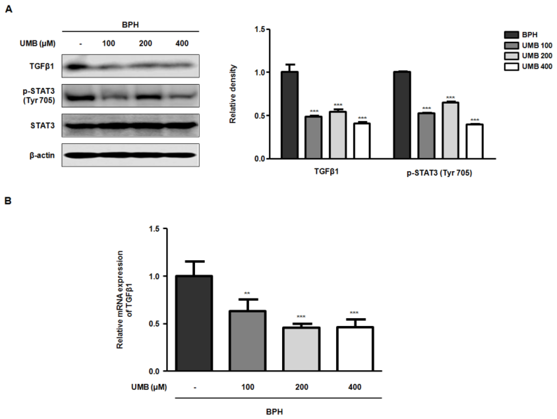 Ijms 22 09019 g004 550