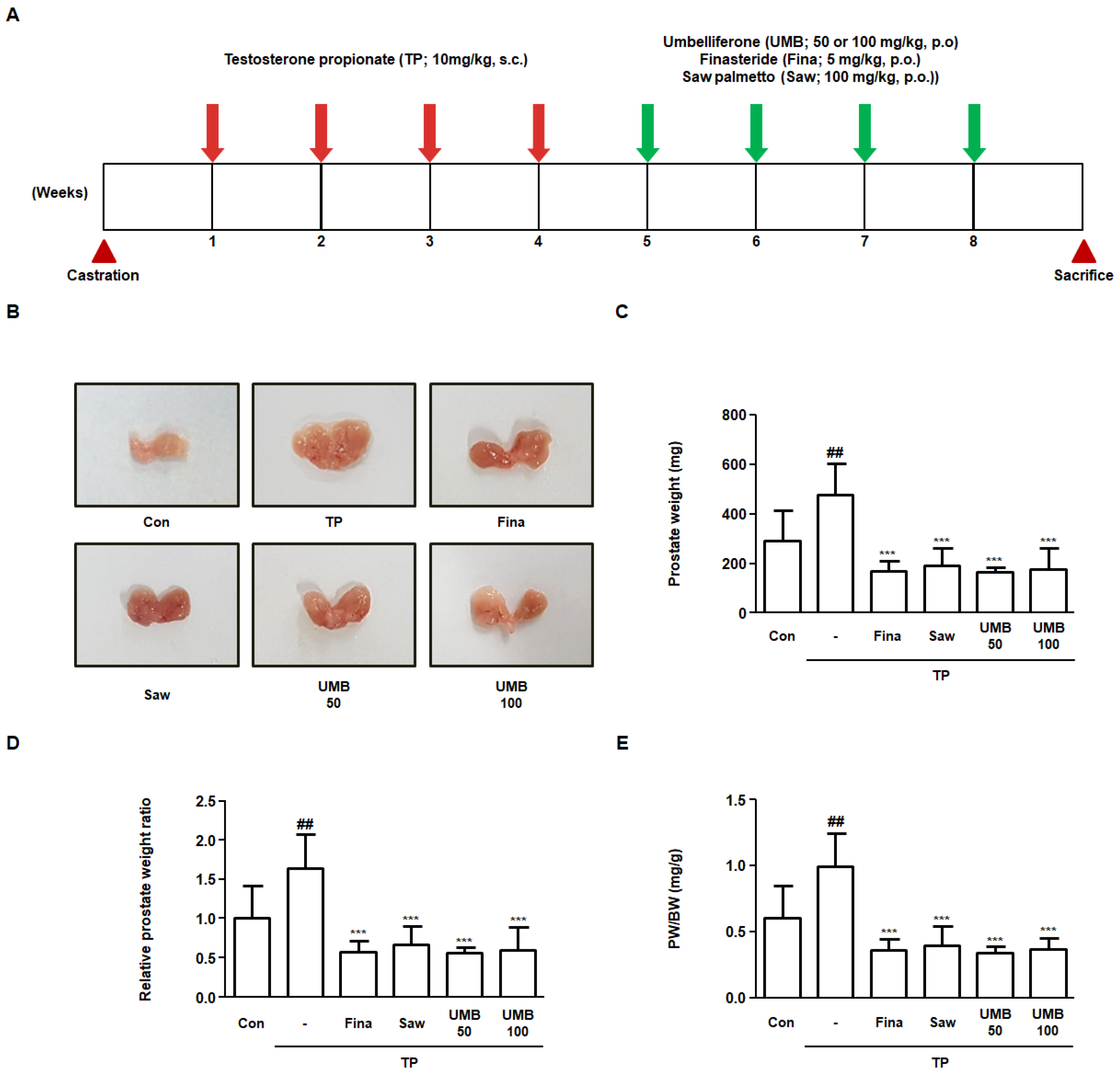 Ijms 22 09019 g005 550