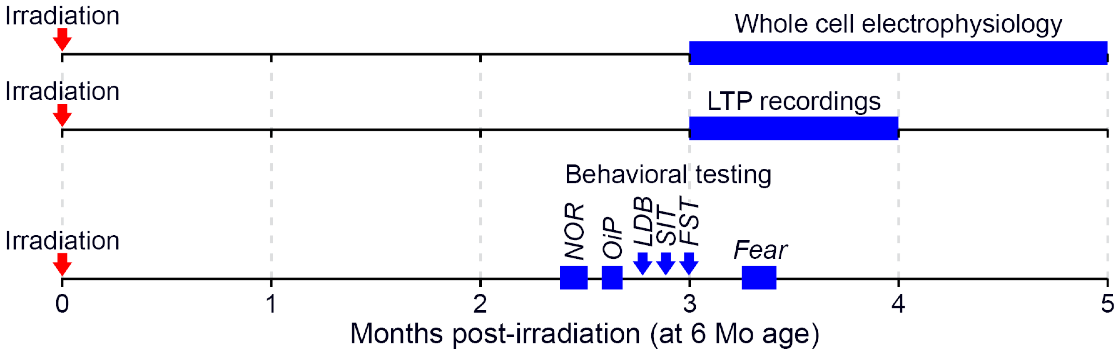 Ijms 22 09020 g006 550