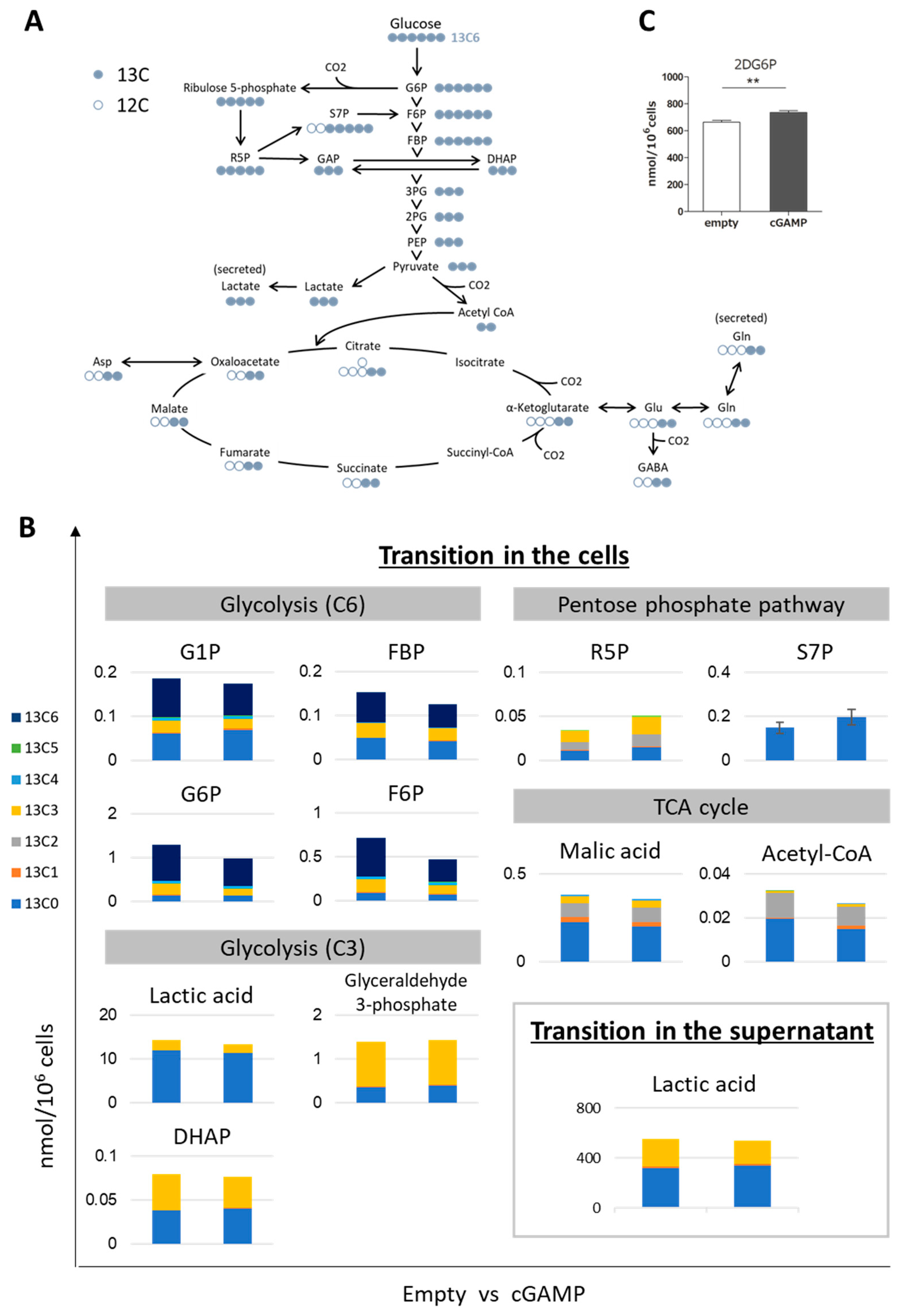 Ijms 22 09028 g002a 550