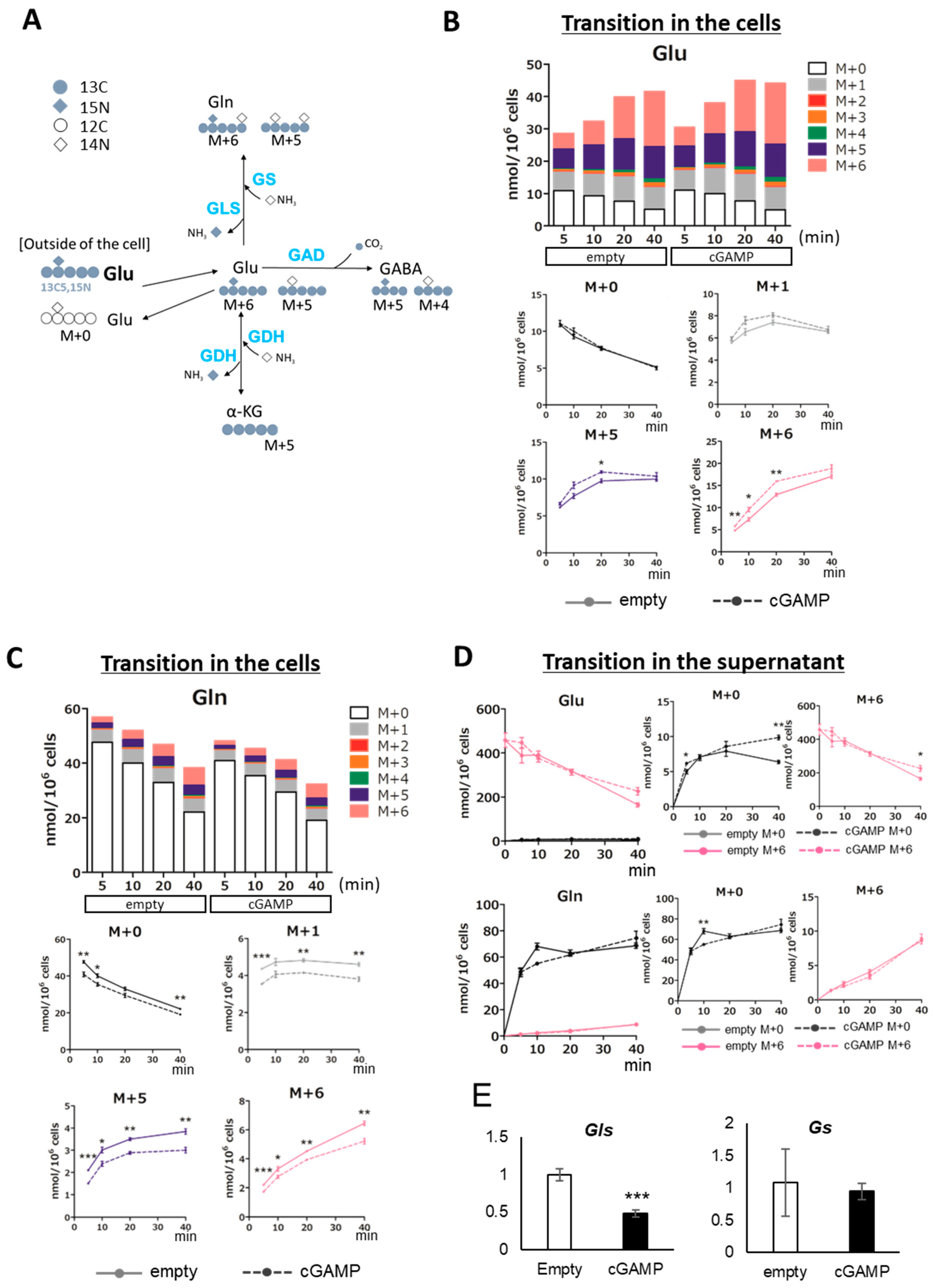Ijms 22 09028 g004 550