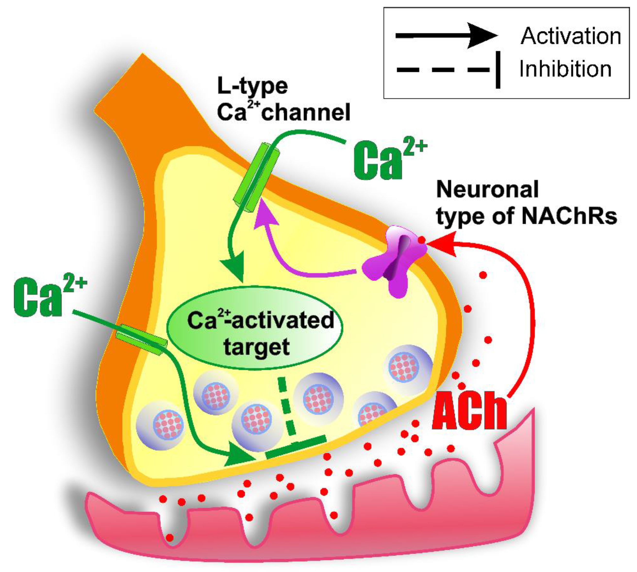 Ijms 22 09031 g010 550
